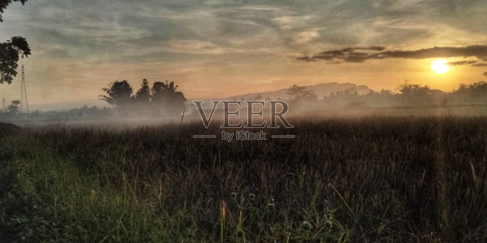 稻田照片摄影图片