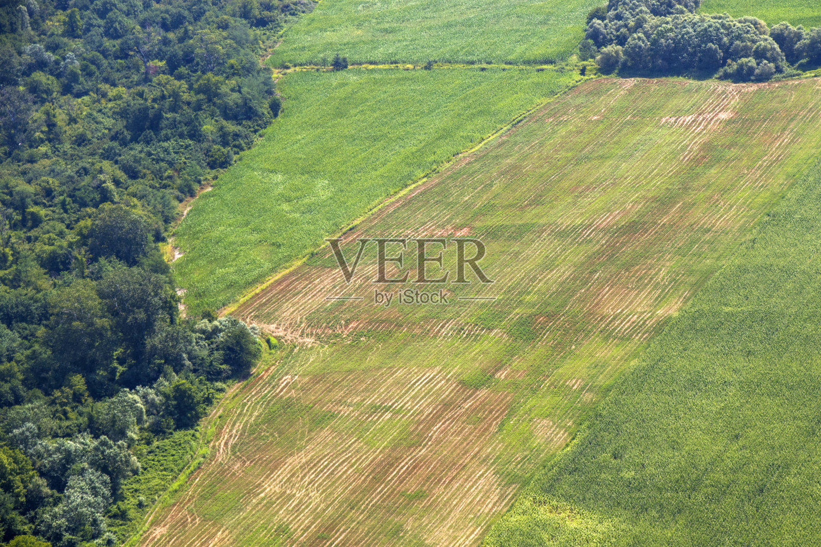 从直升机上俯瞰卡赫蒂和风景,格鲁吉亚的自然美景照片摄影图片