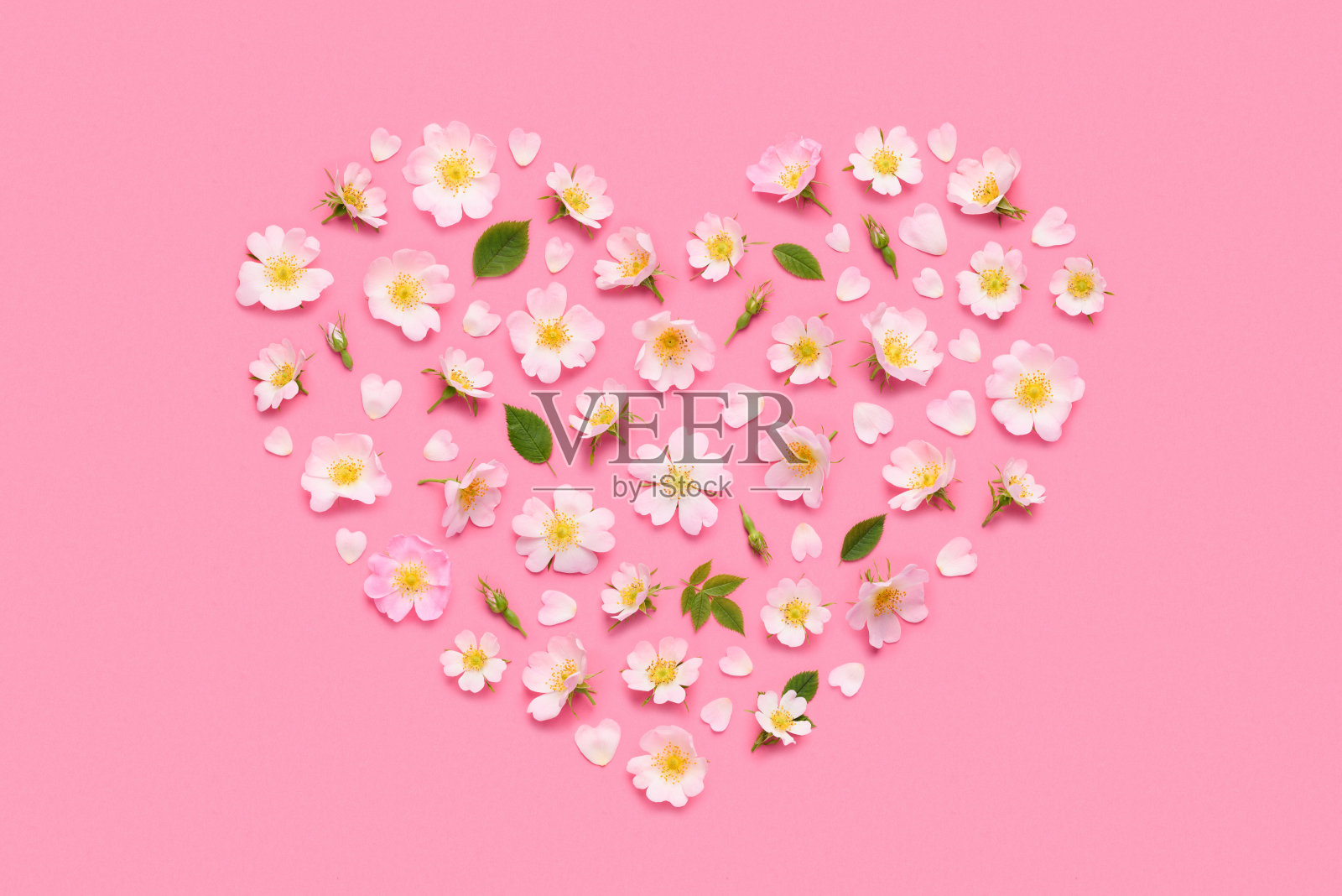 粉色背景上心形玫瑰花瓣照片摄影图片