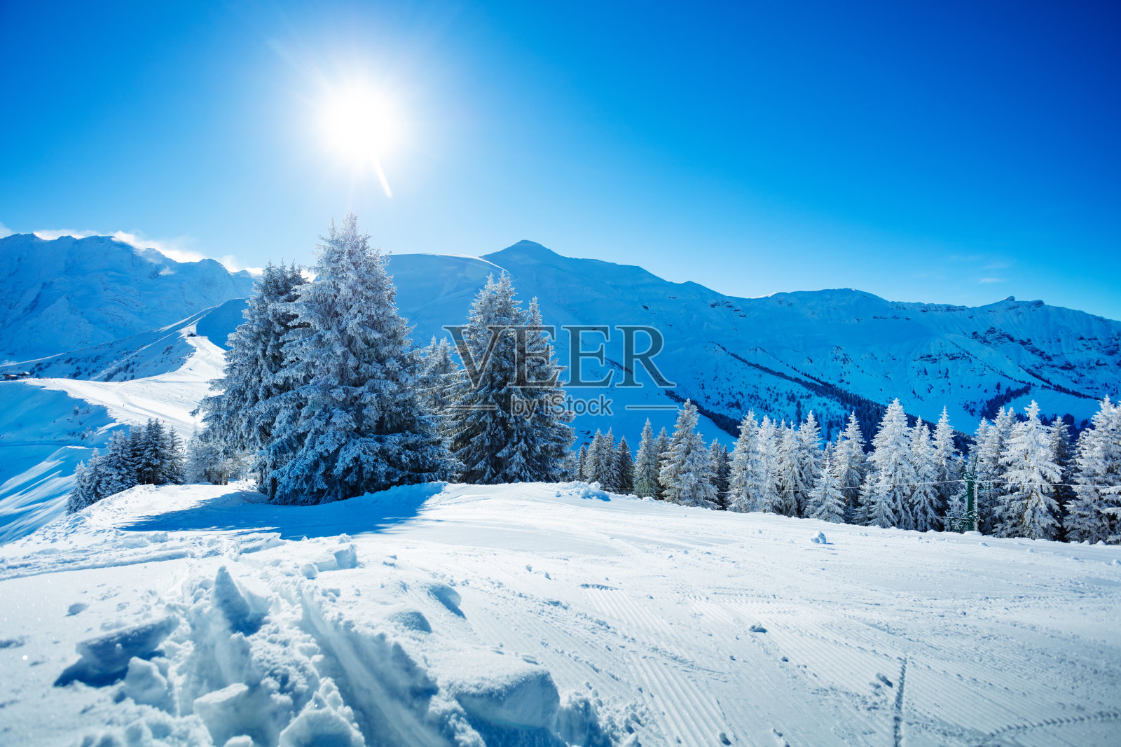 壮丽美丽的白雪皑皑,白雪覆盖了森林里的冷杉树照片摄影图片