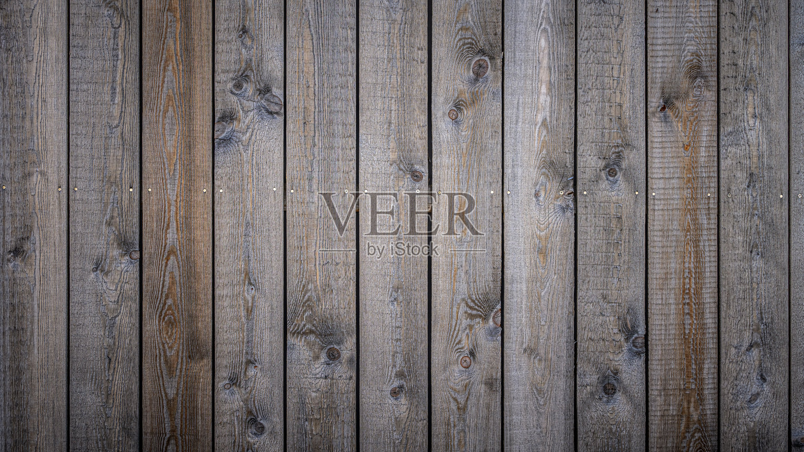 假期的照片照片摄影图片