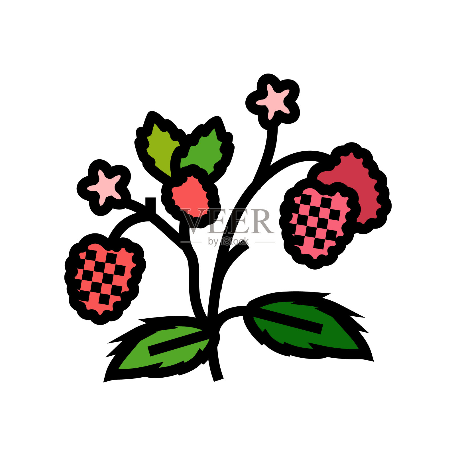 浆果植物树莓水果颜色图标矢量插图插画图片素材