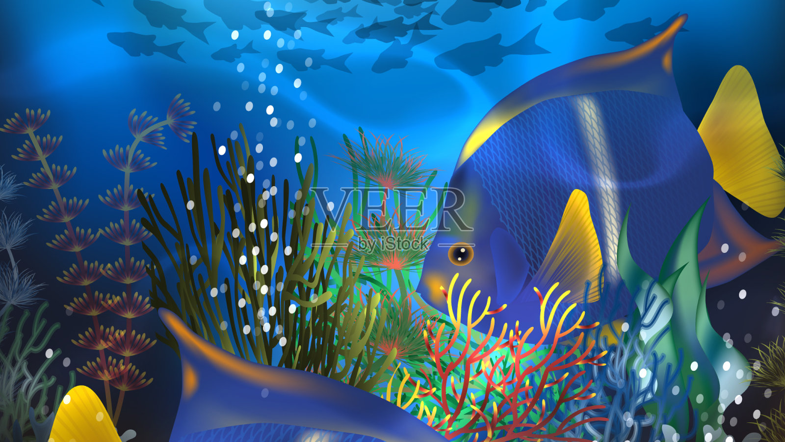 水下热带邀请卡与蓝色的tang插画图片素材
