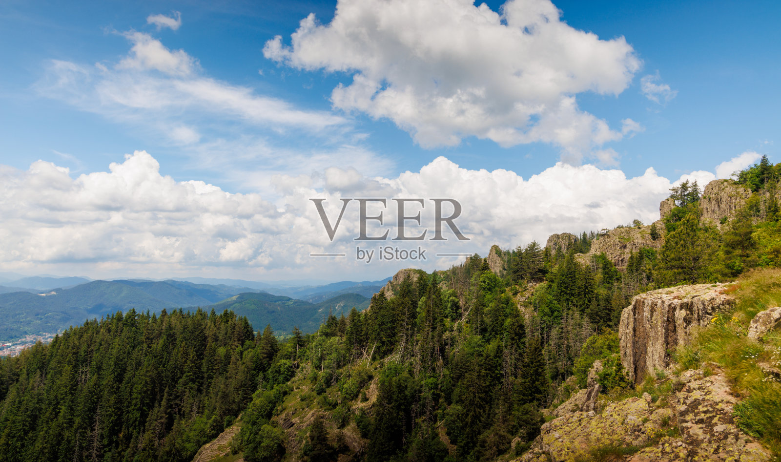 在云杉林覆盖的山谷的映衬下,Rhodope山脉覆盖着植被照片摄影图片