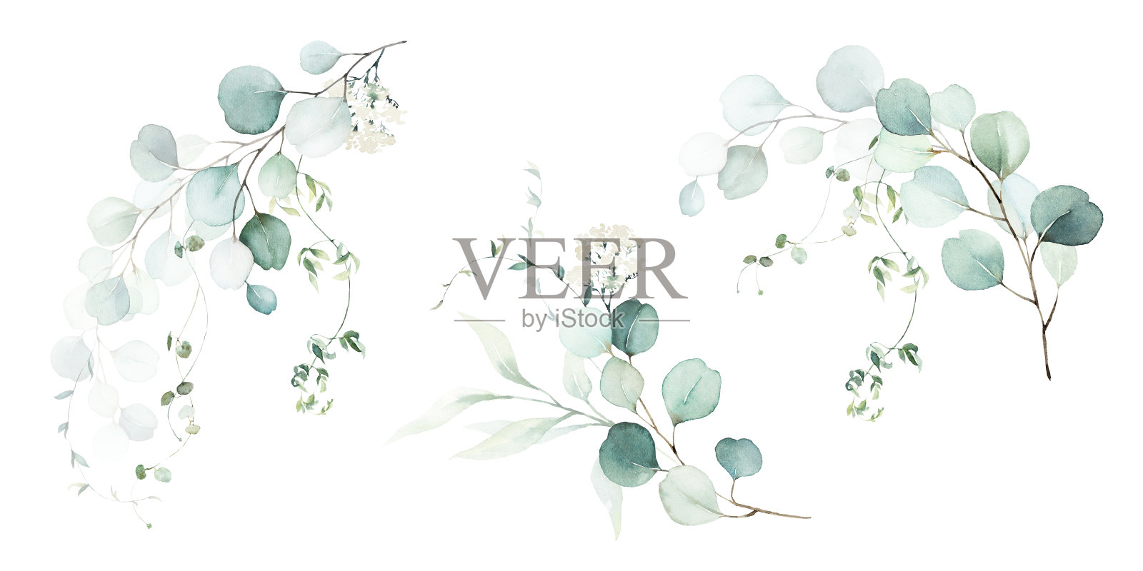 水彩花卉插图花束-绿叶树枝收集。插画图片素材