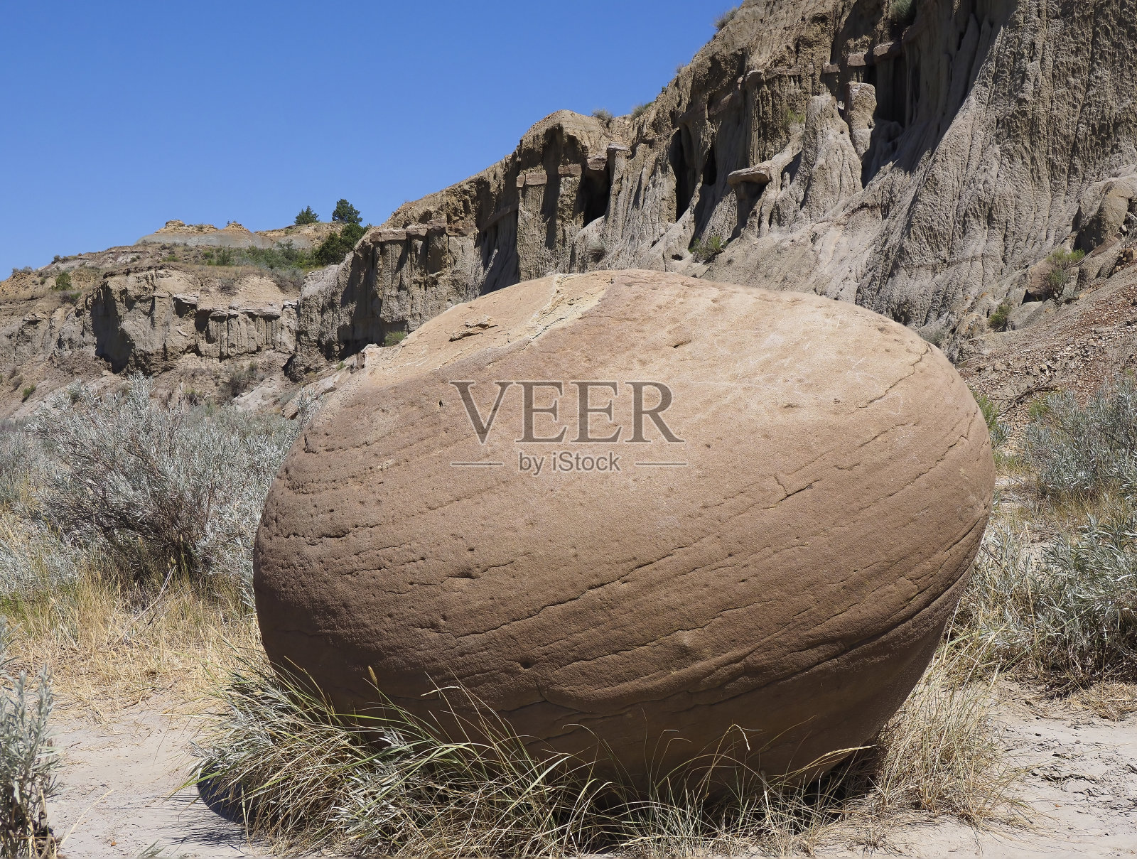 北达科他州西奥多·罗斯福国家公园发现的一个孤独的固形物的焦点堆叠图像照片摄影图片