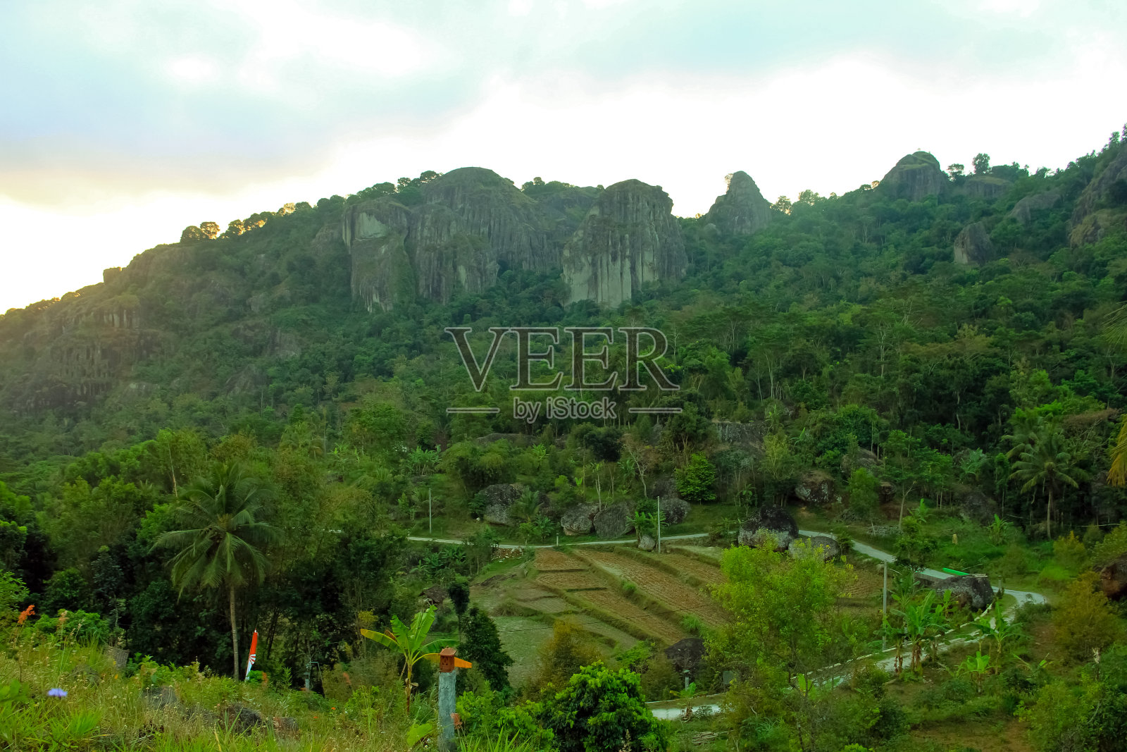 几块带小山的稻田照片摄影图片