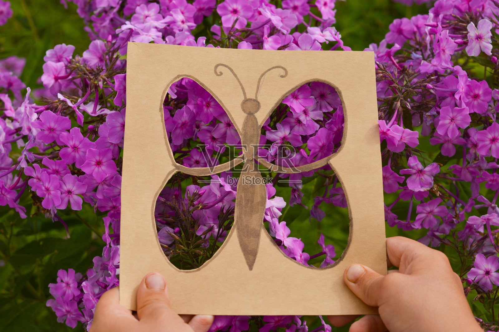 培养儿童的幻想和想象力。在纸盒上剪下一只蝴蝶,映衬着粉红色的夹竹桃花,在夏天给孩子们做什么。照片摄影图片