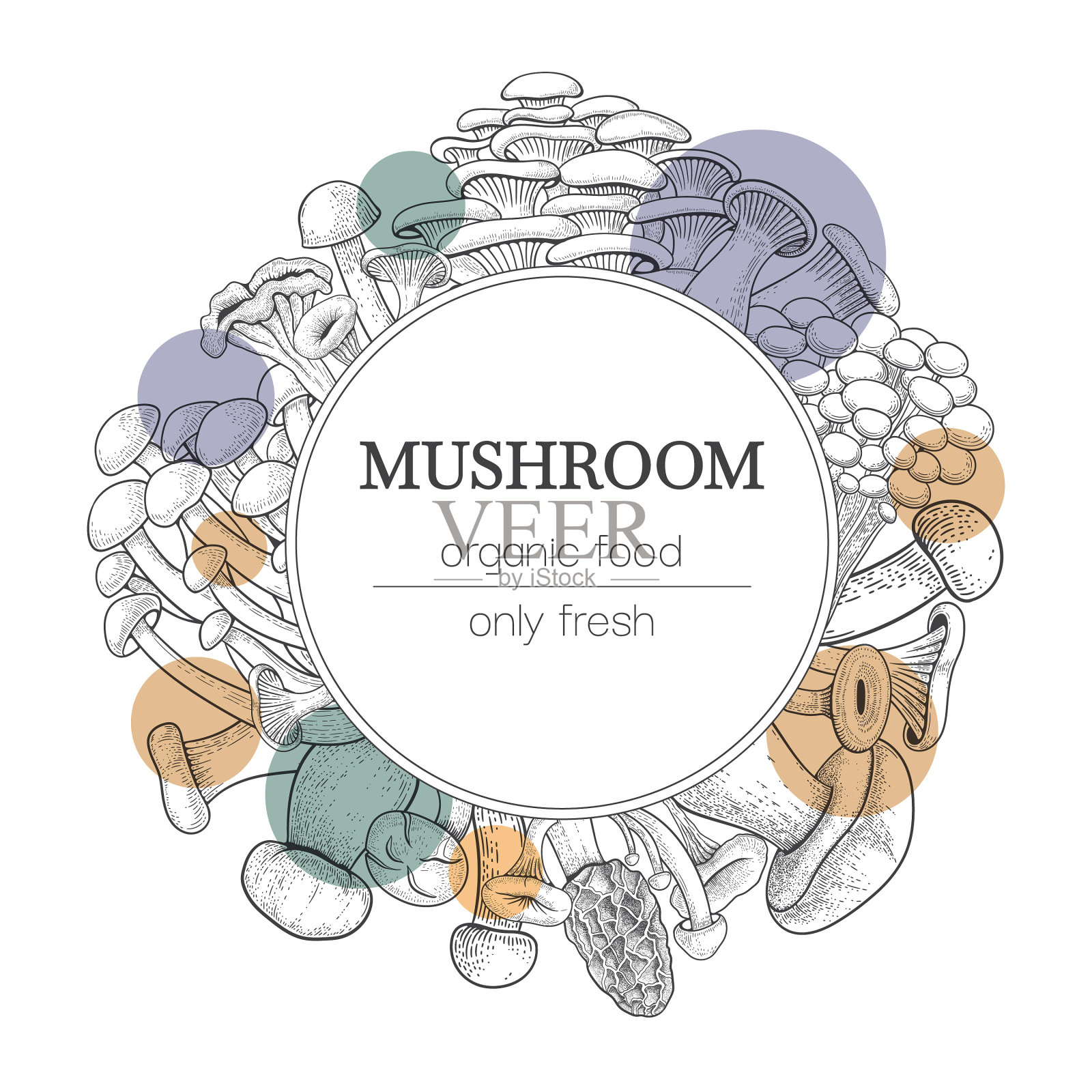 蘑菇背景的复古植物食品插画图片素材