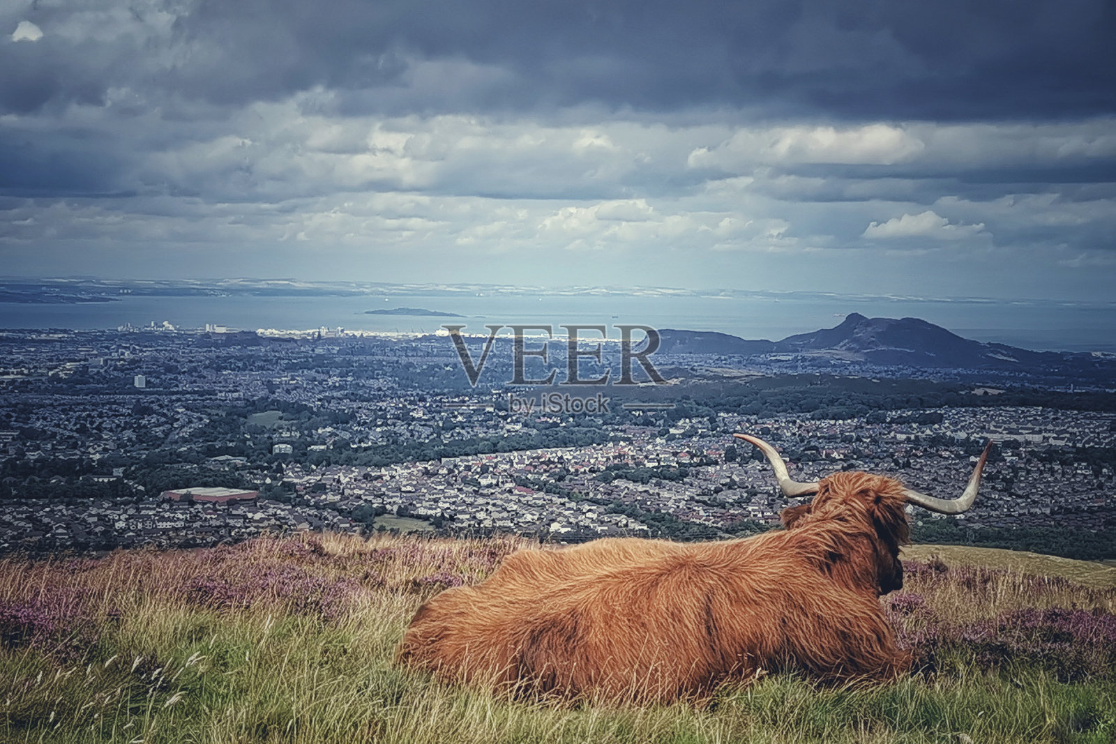 2022年苏格兰和英格兰照片摄影图片