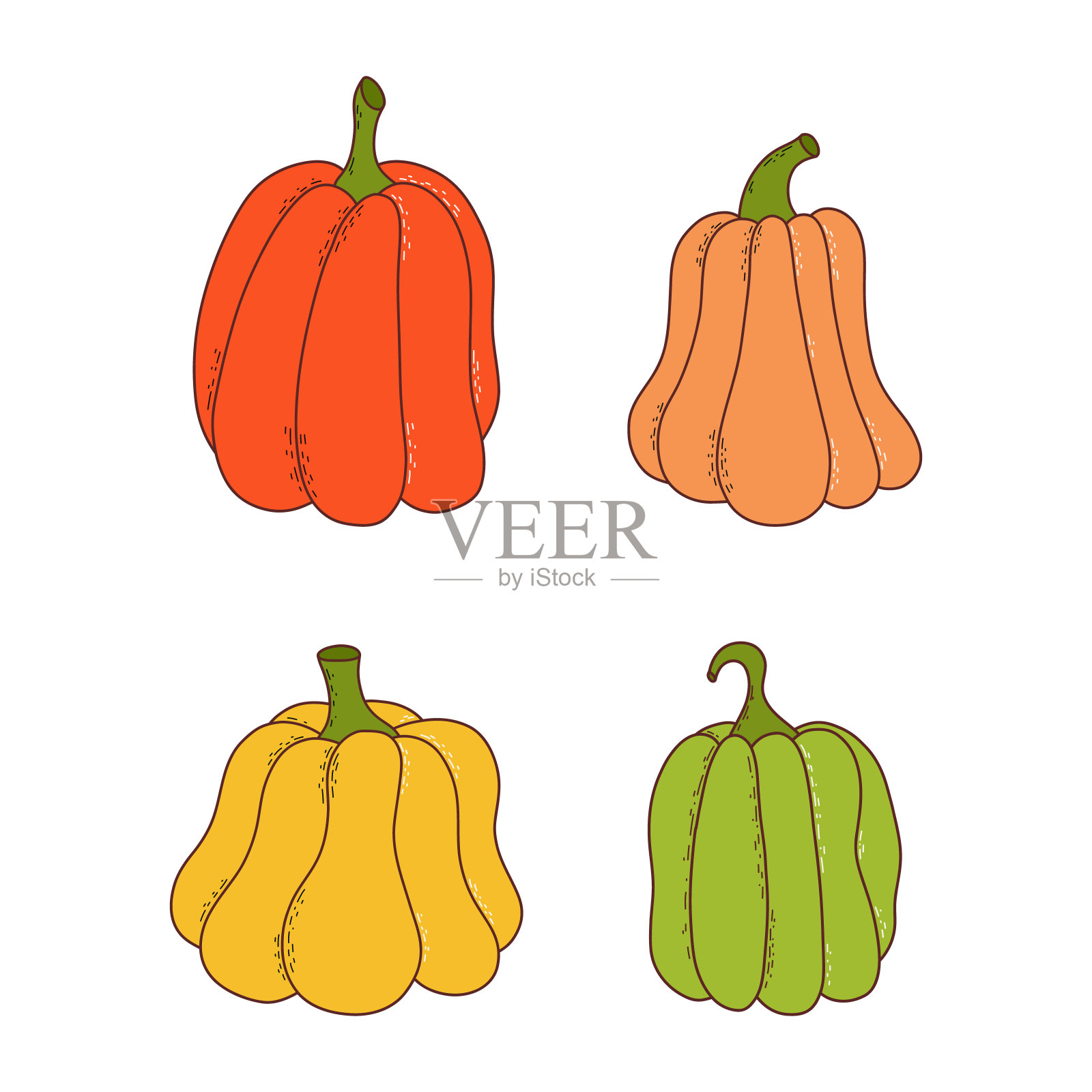 各种形状和颜色的南瓜。感恩节和万圣节元素。矢量插图手绘风格插画图片素材