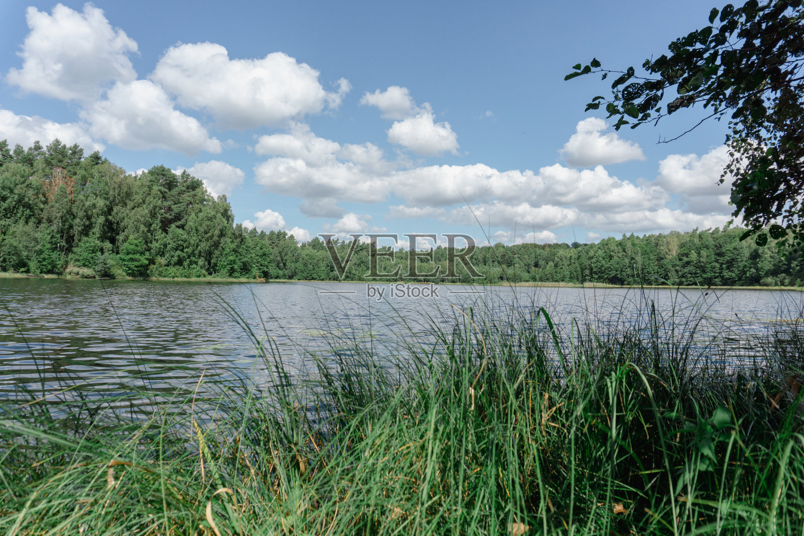 在德国勃兰堡的阿克马克自然保护区的田园风光照片摄影图片