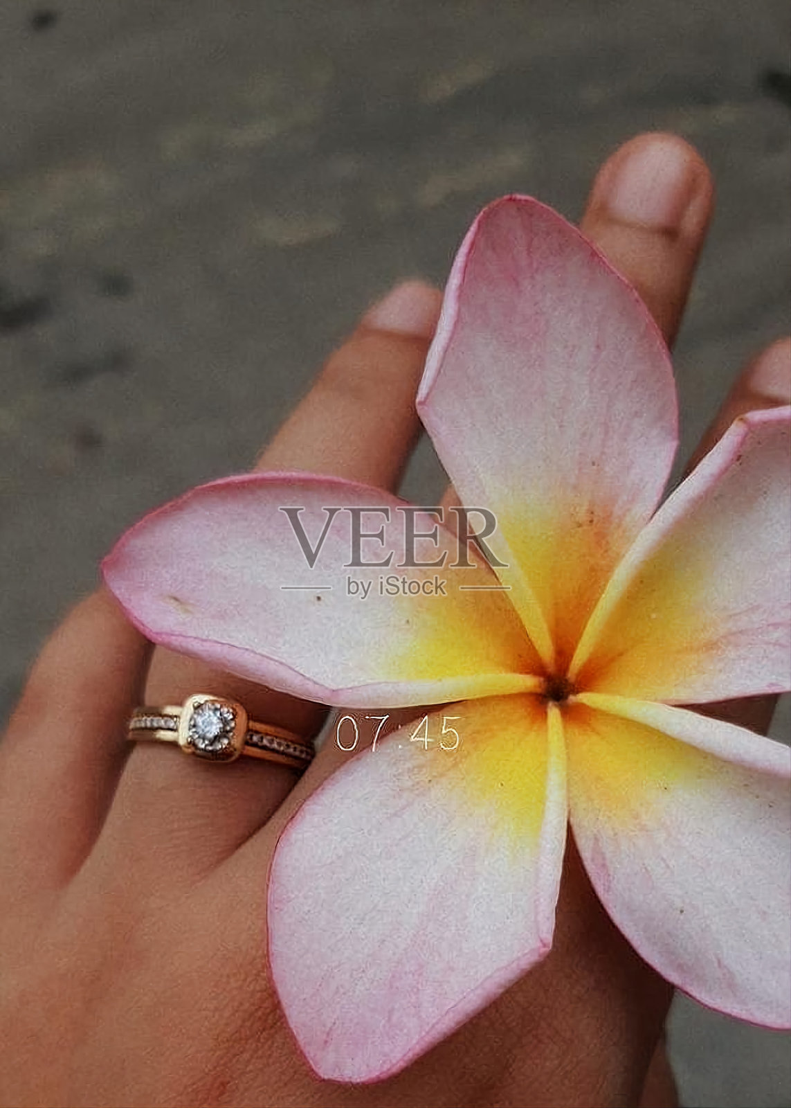 落花粉红花照片摄影图片