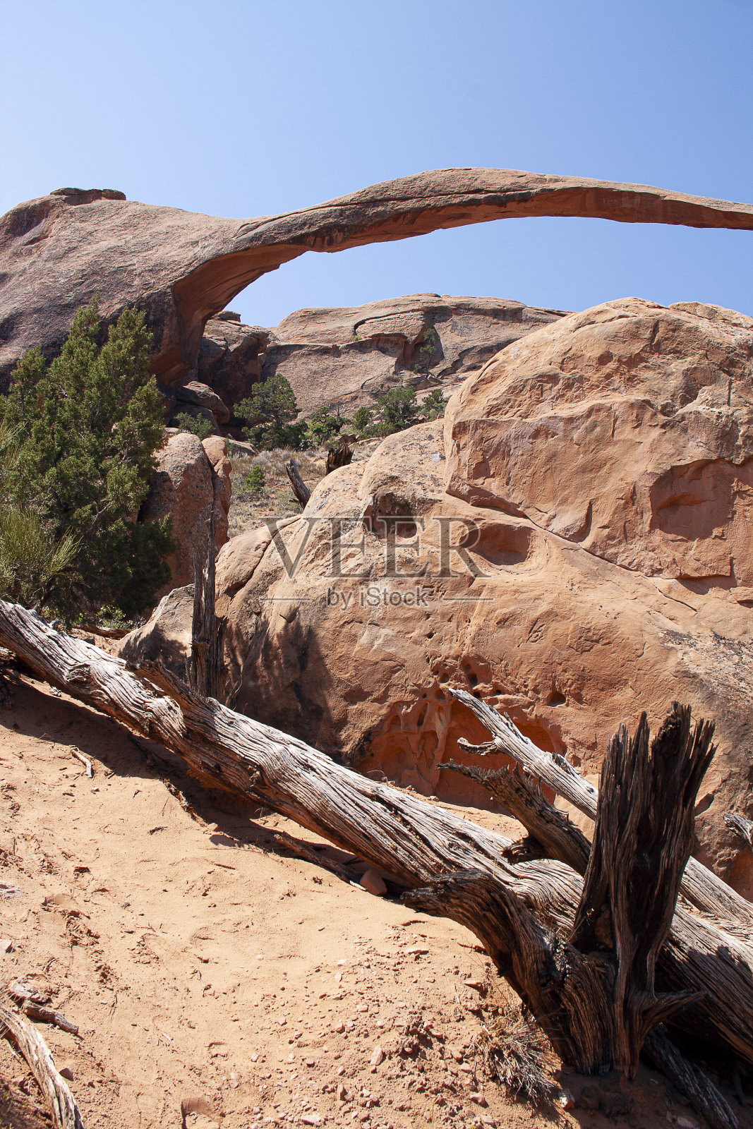 景观拱照片摄影图片