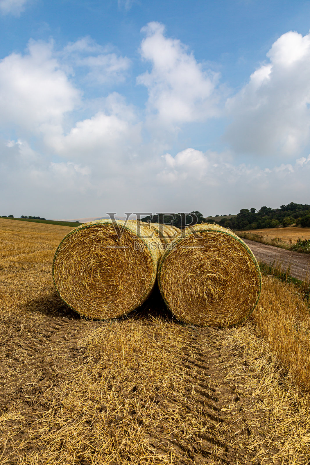 在苏塞克斯的田野里,收获后的干草捆照片摄影图片