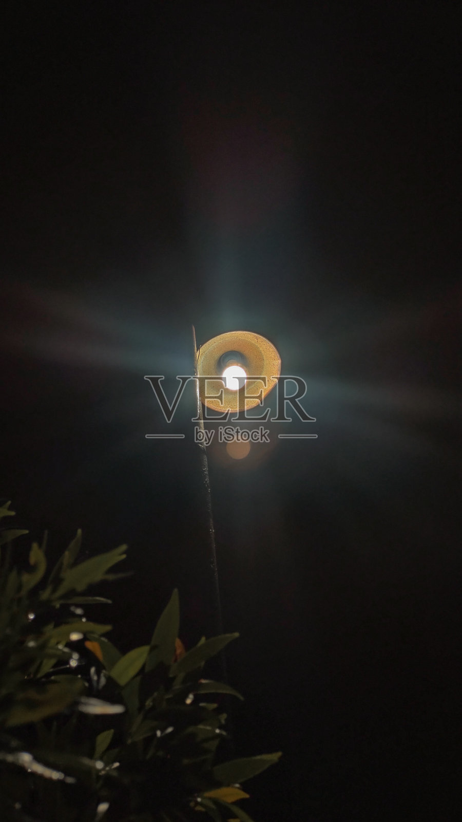 灯照片摄影图片