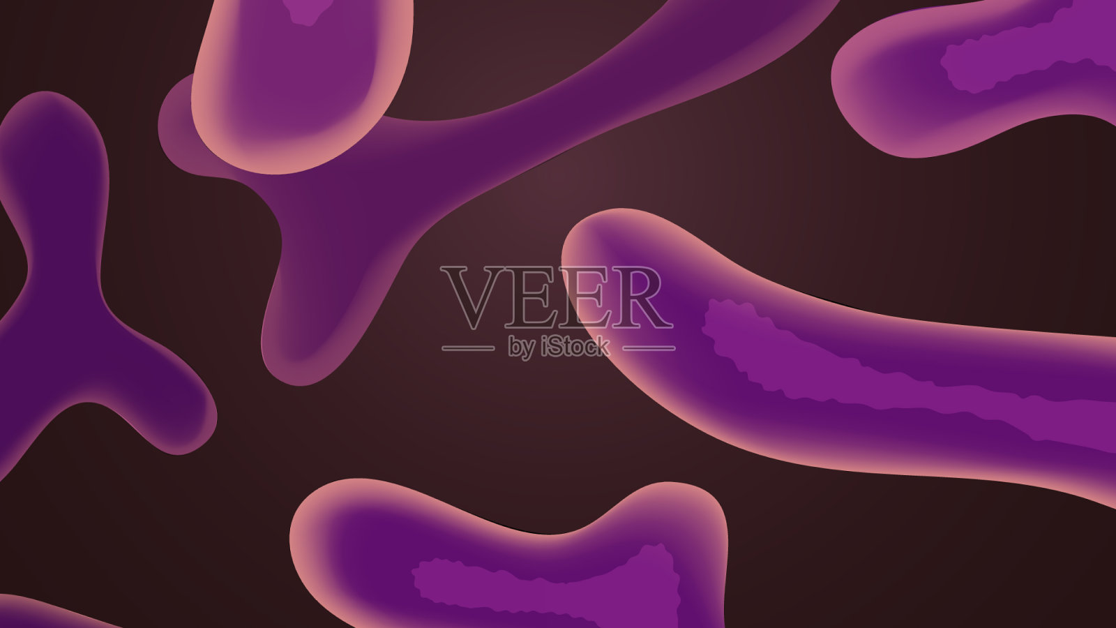 双歧杆菌细菌圆组成插画图片素材