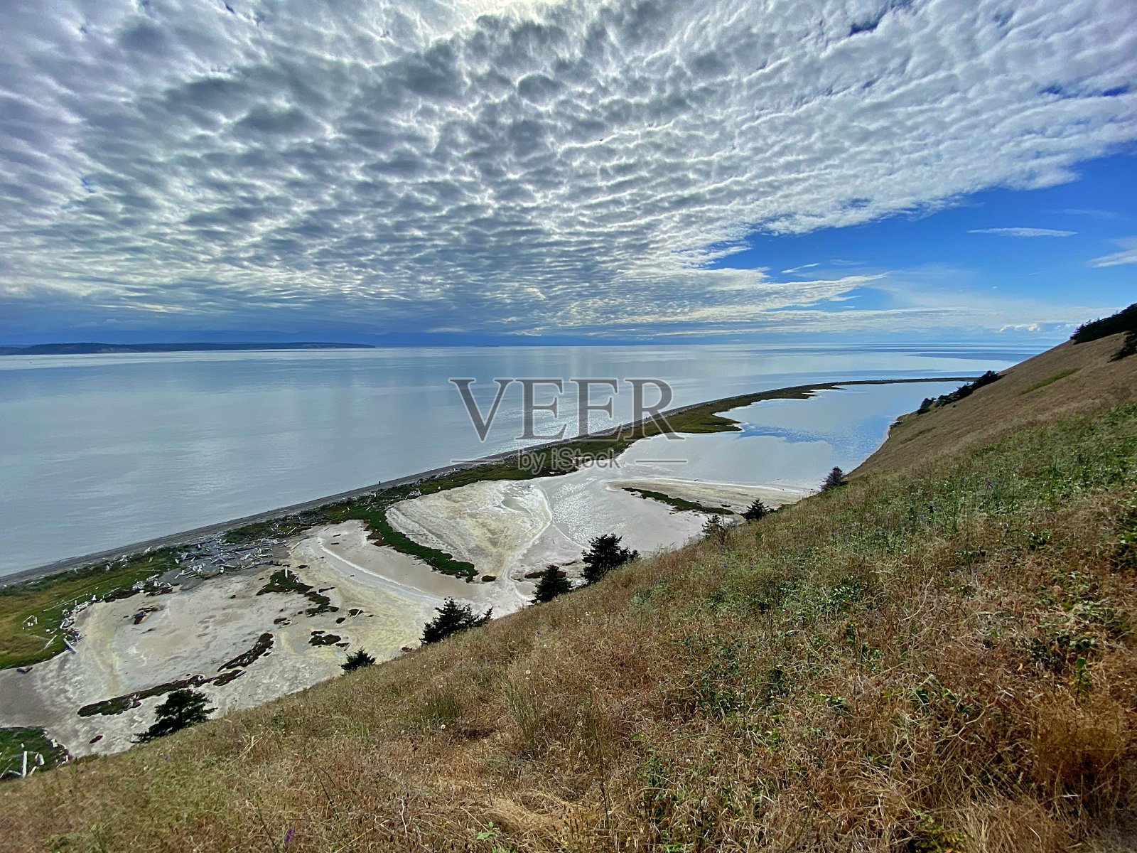 Whidbey岛的夏天照片摄影图片
