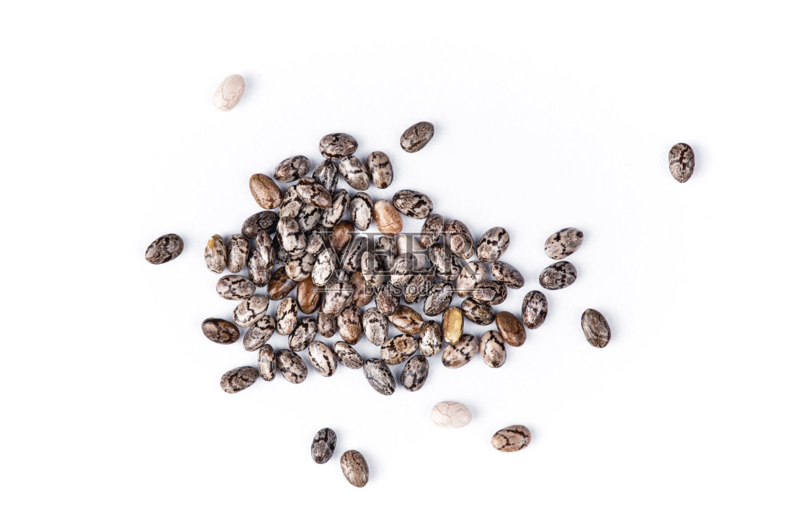 奇亚种子宏观,鼠尾草分离在白底特写照片摄影图片