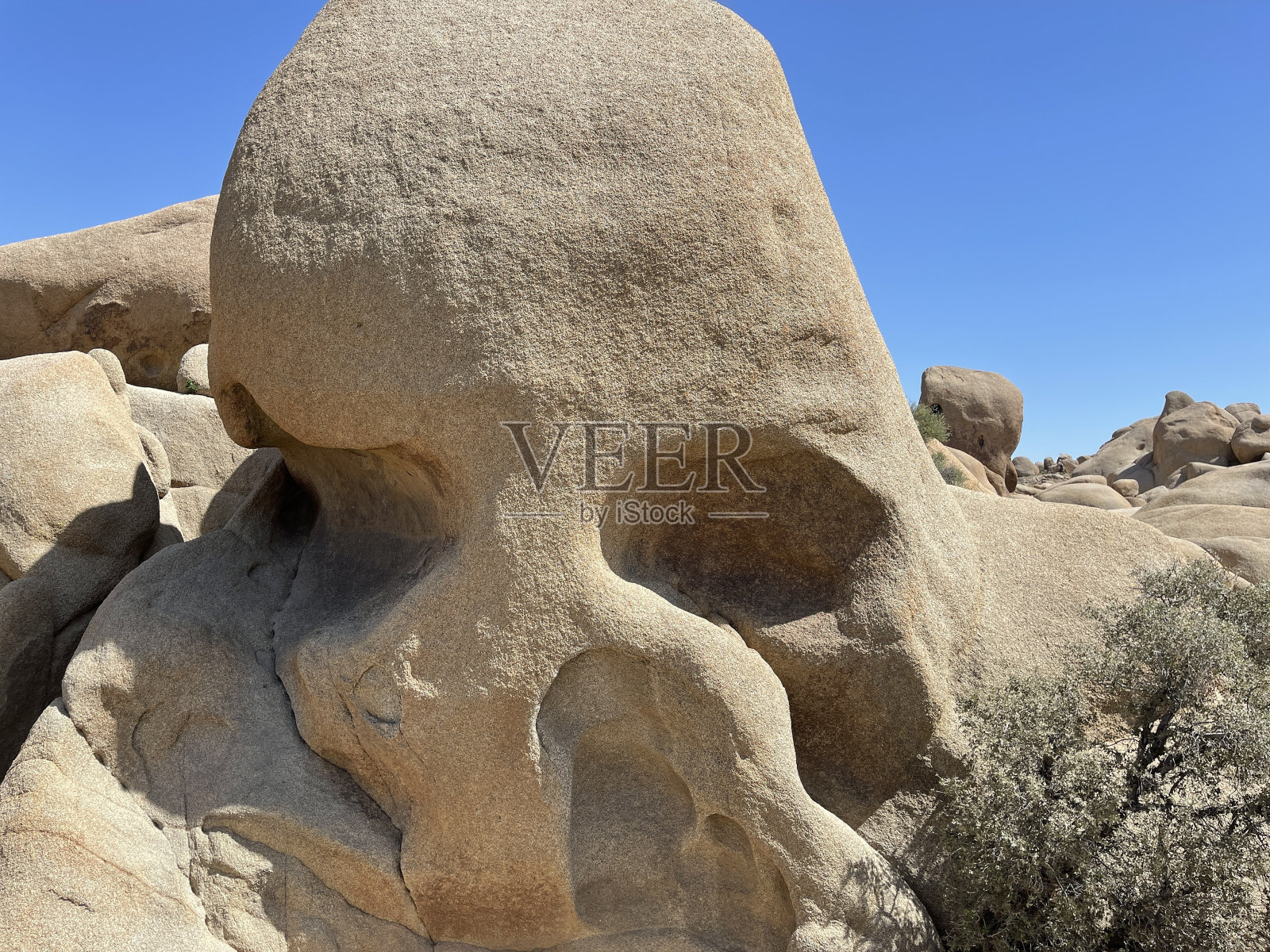 头骨岩石特写镜头照片摄影图片