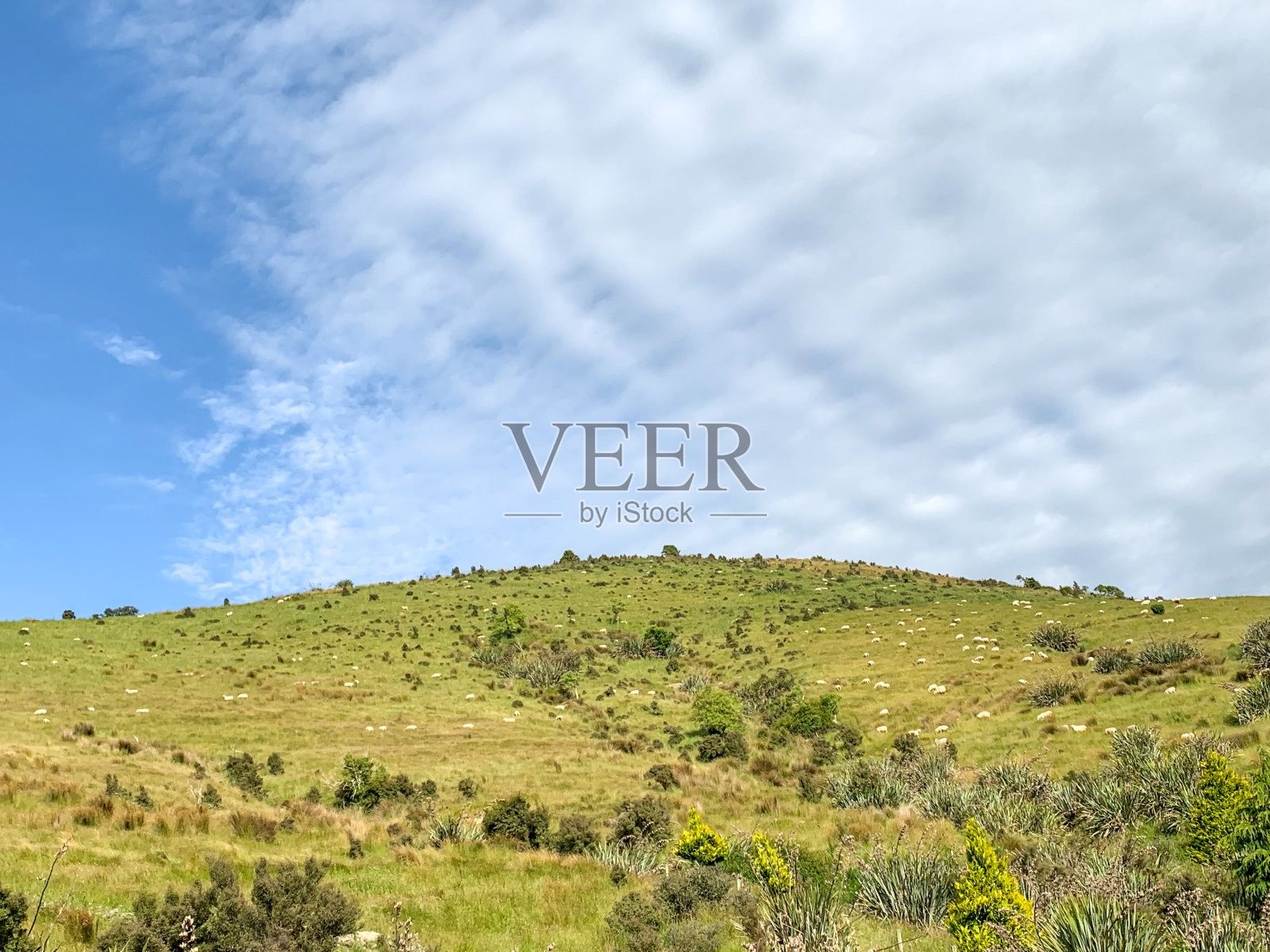 拉姆斯登-迪普顿,新西兰南岛约瑟夫维尔公路之旅照片摄影图片