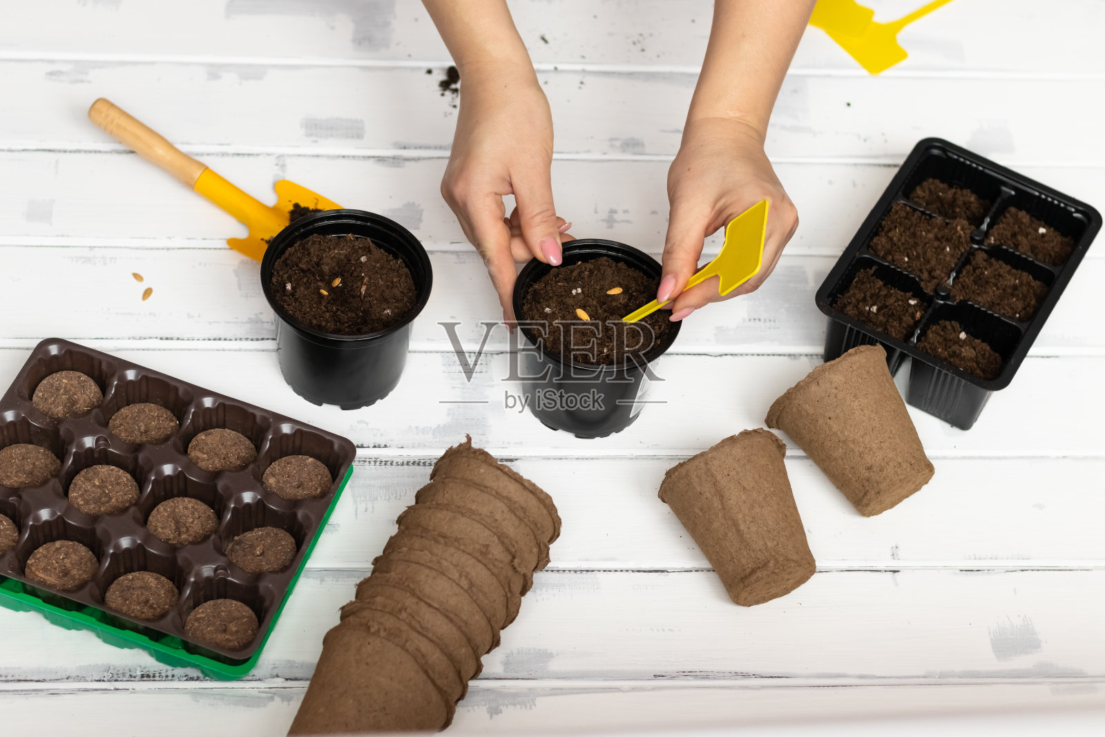 妇女在家里的花盆里播种种苗,园艺照片摄影图片