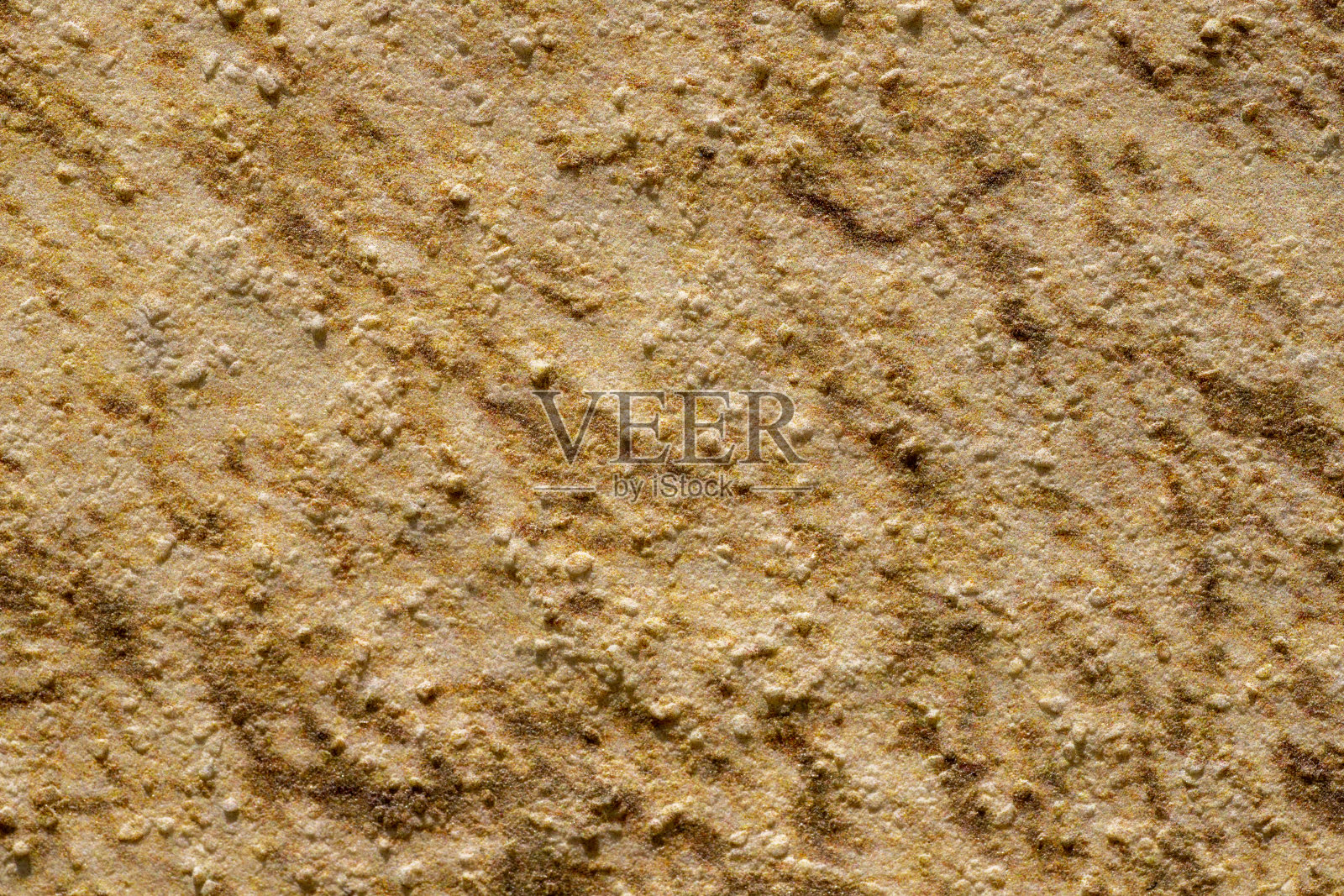 宏观性质照片摄影图片