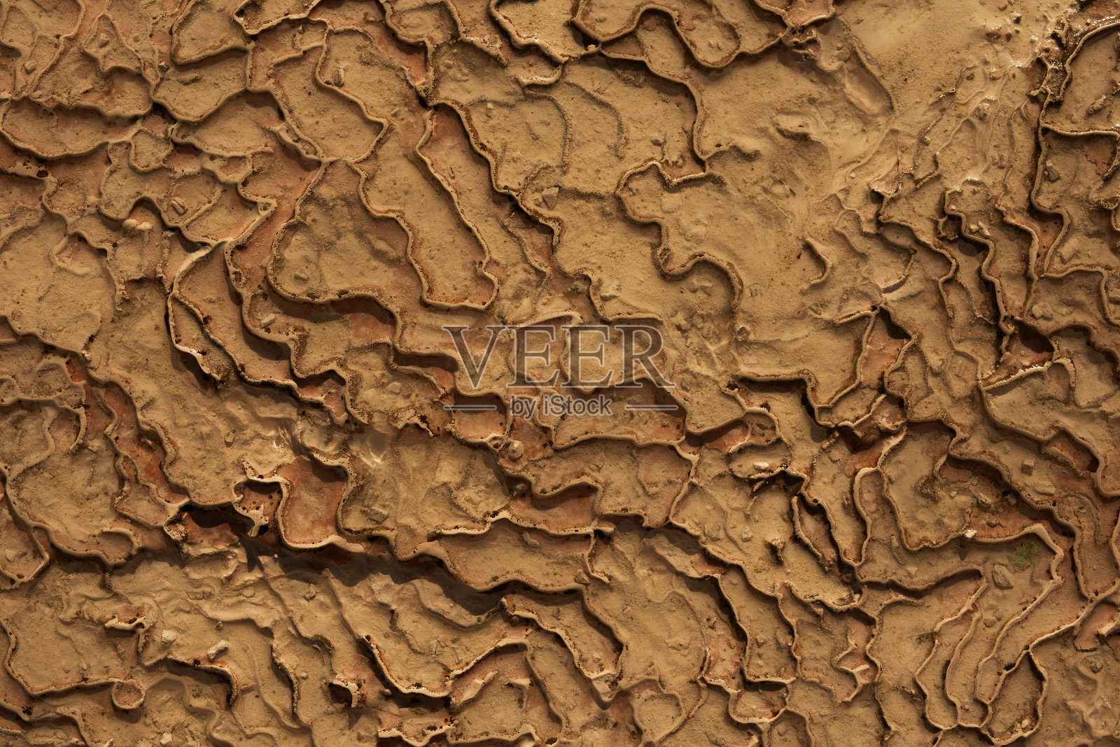 帕穆克卡,驯服的宏的自然照片摄影图片