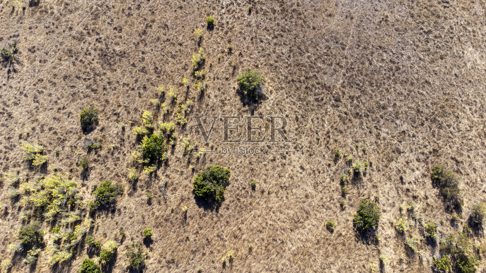 火山山麓照片摄影图片