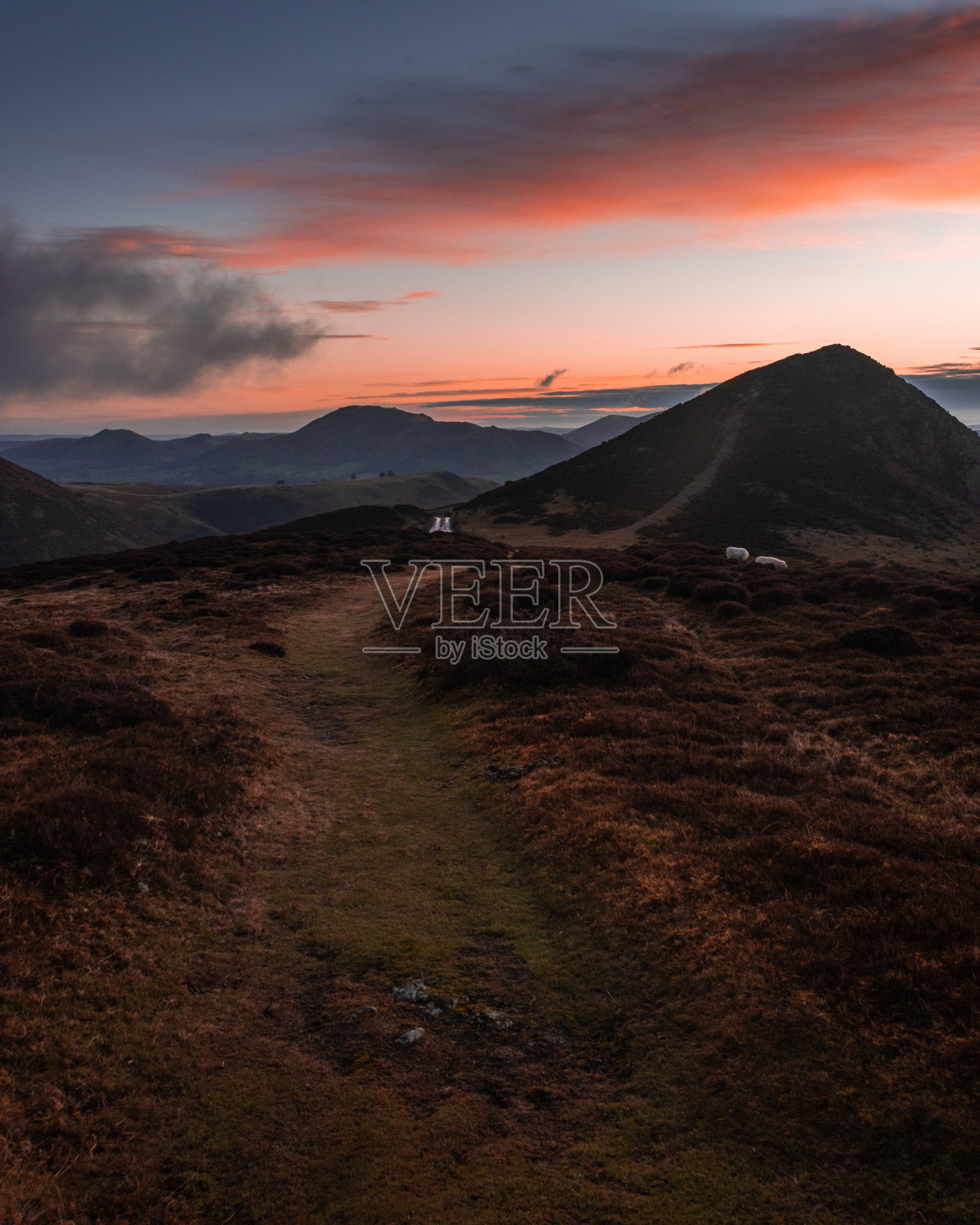 什罗普郡长山上的日出照片摄影图片