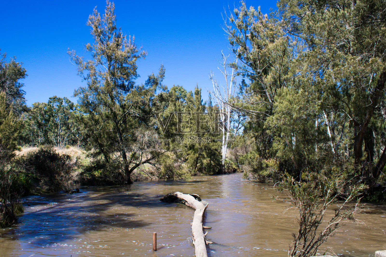 七河,斯特拉斯博吉,澳大利亚照片摄影图片
