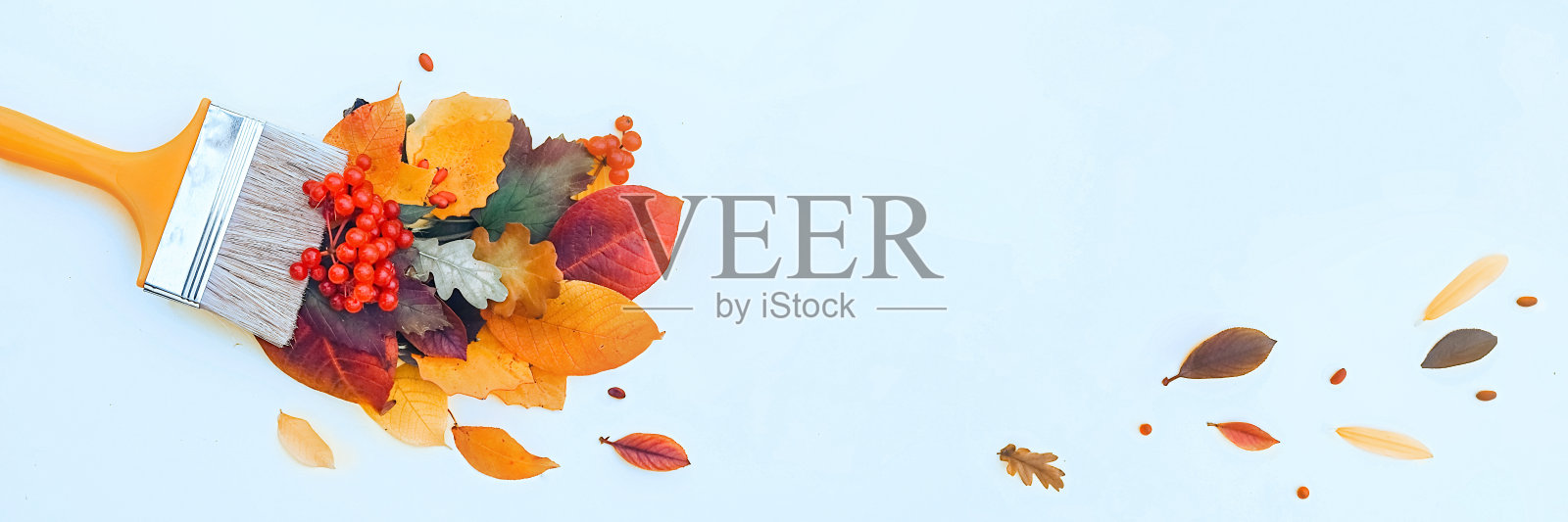 用五彩缤纷的秋叶刷漆,创作秋叶的概念,秋叶的旗帜照片摄影图片