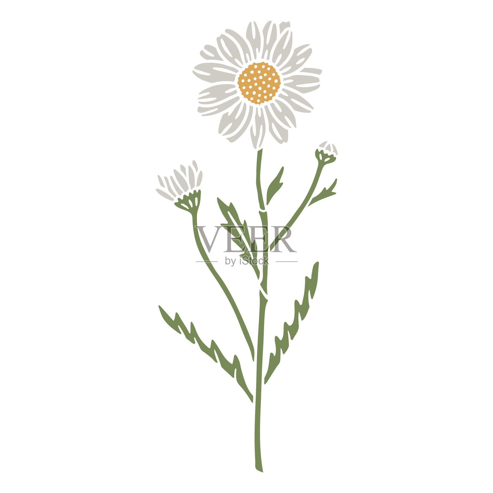 半扁平紫菀花设计元素图片