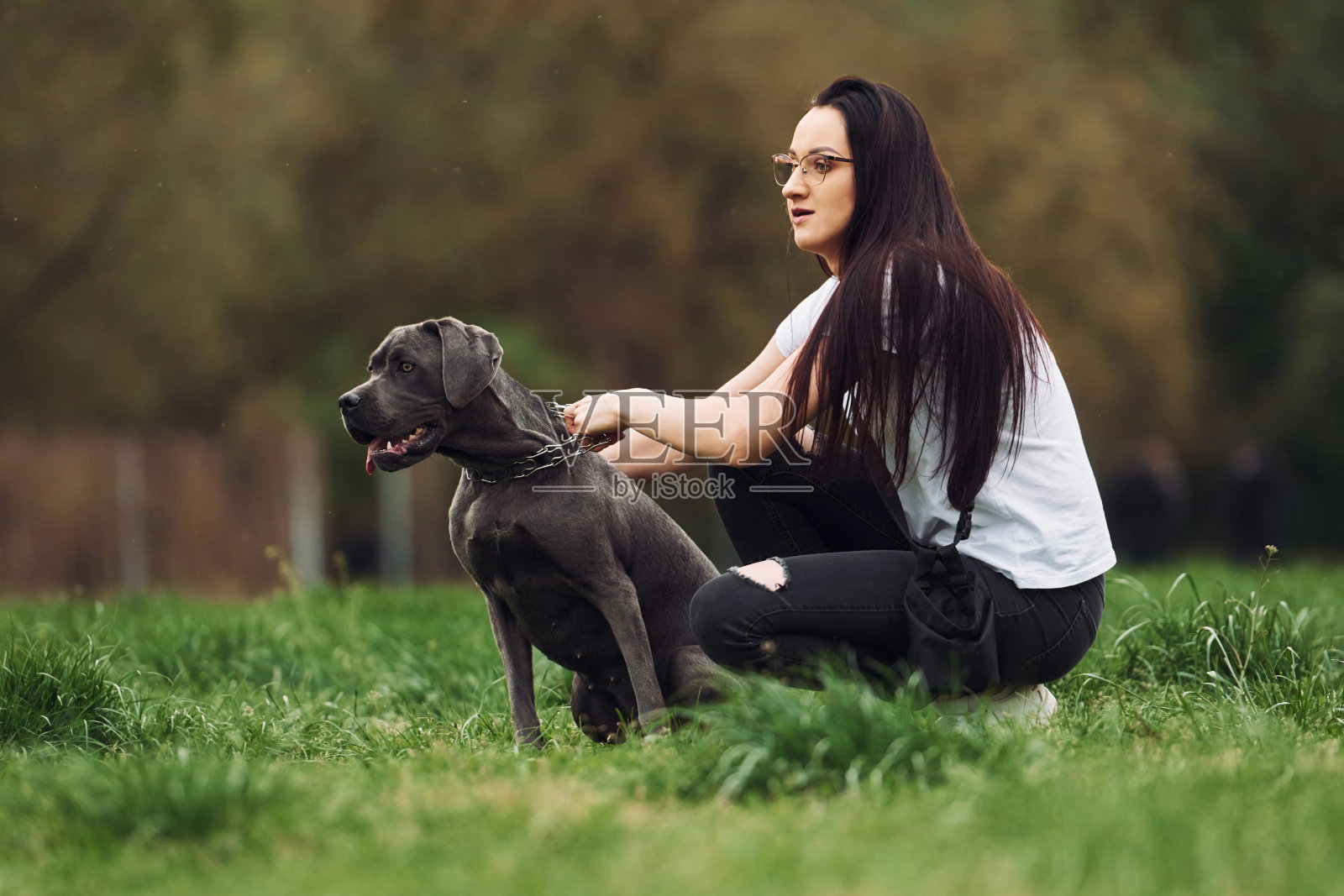 坐在地上。年轻的黑发女郎正在户外遛狗照片摄影图片