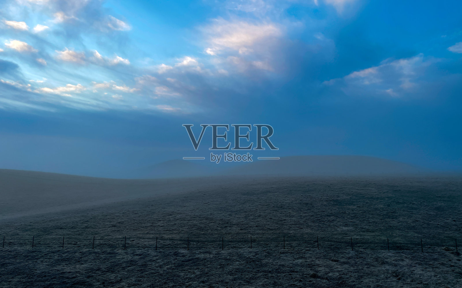 清晨薄雾牧场照片摄影图片