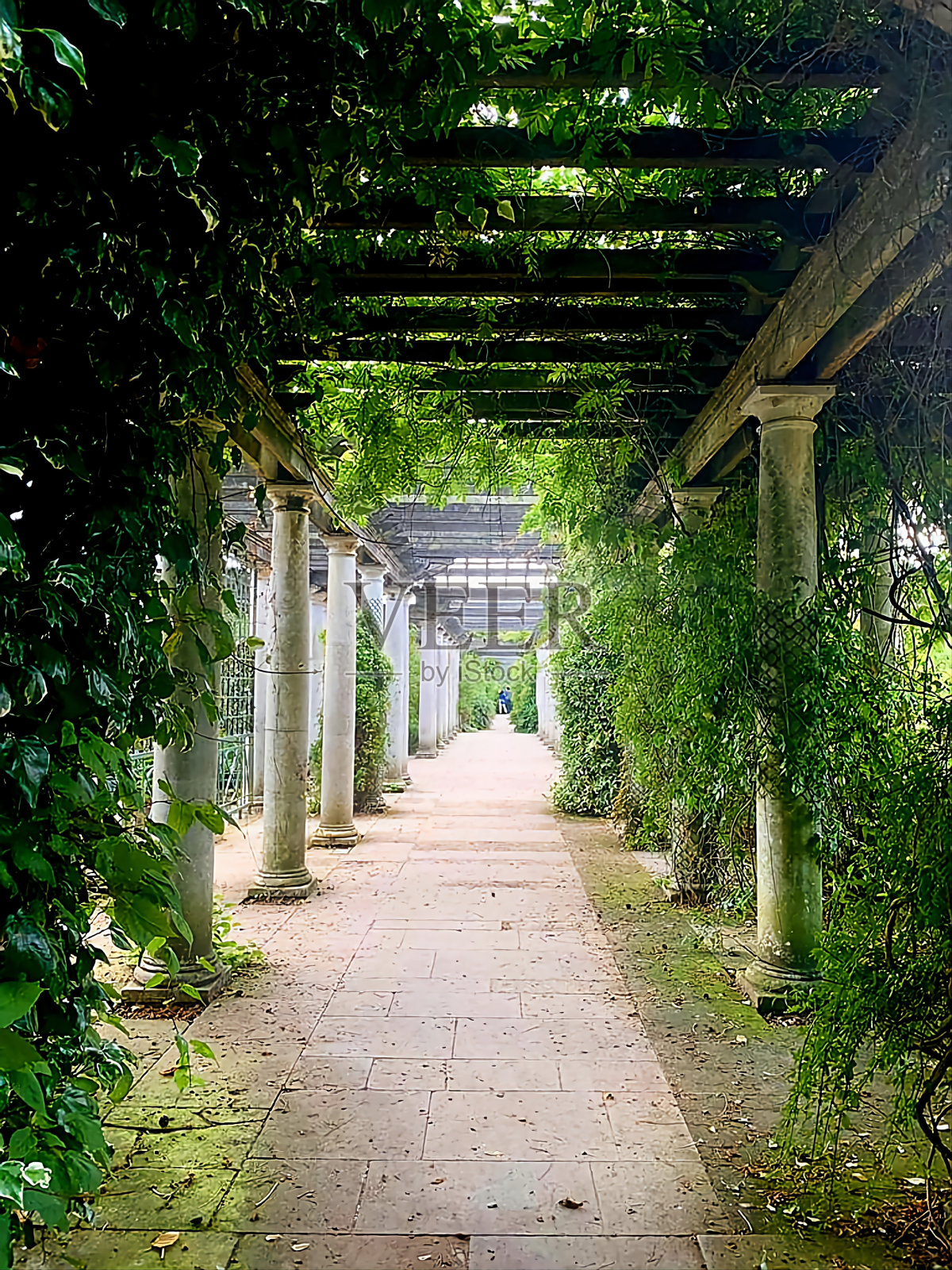 汉普斯特德凉亭和希尔花园,伦敦照片摄影图片