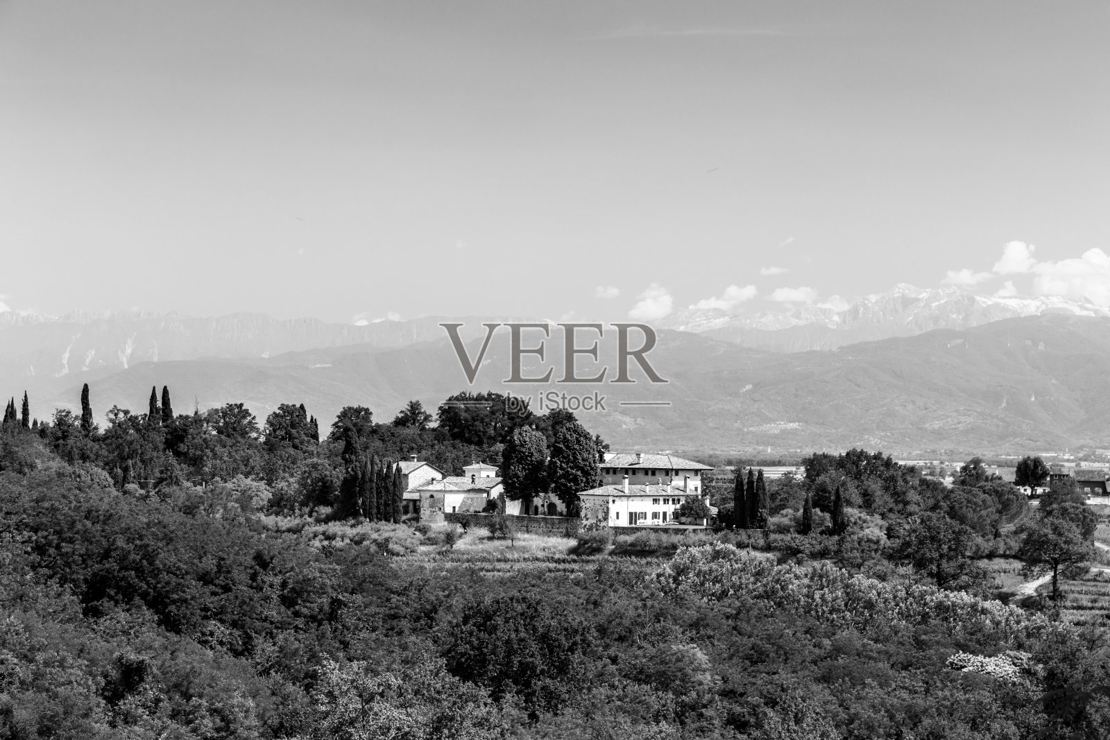 弗里uli Venezia-Giulia的土地上种植着葡萄藤照片摄影图片