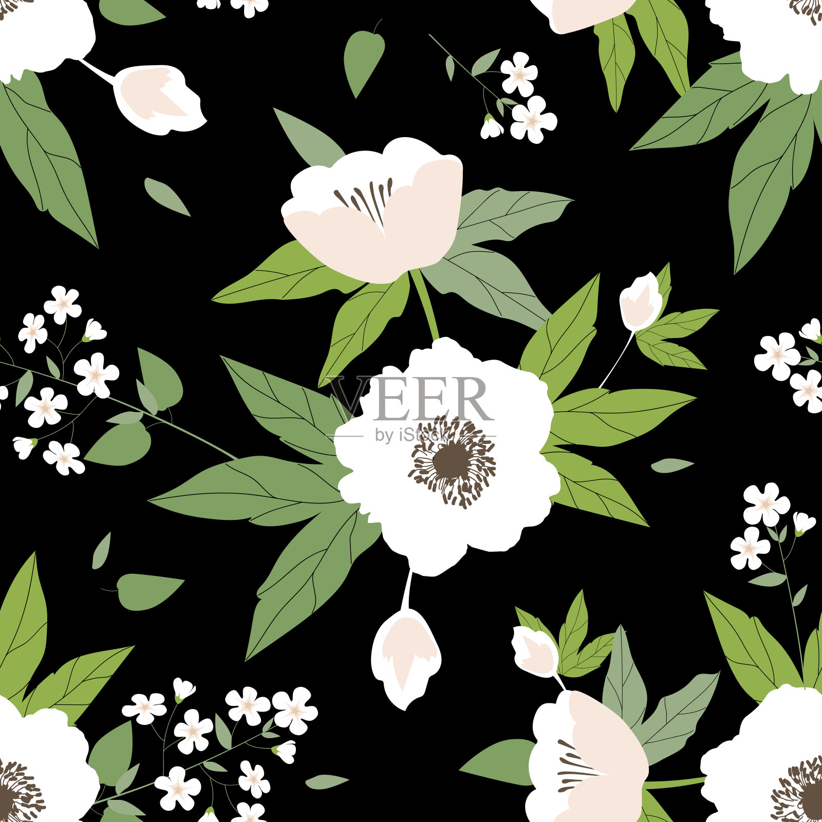 白色的花和彩色的叶子在黑色的背景插画图片素材