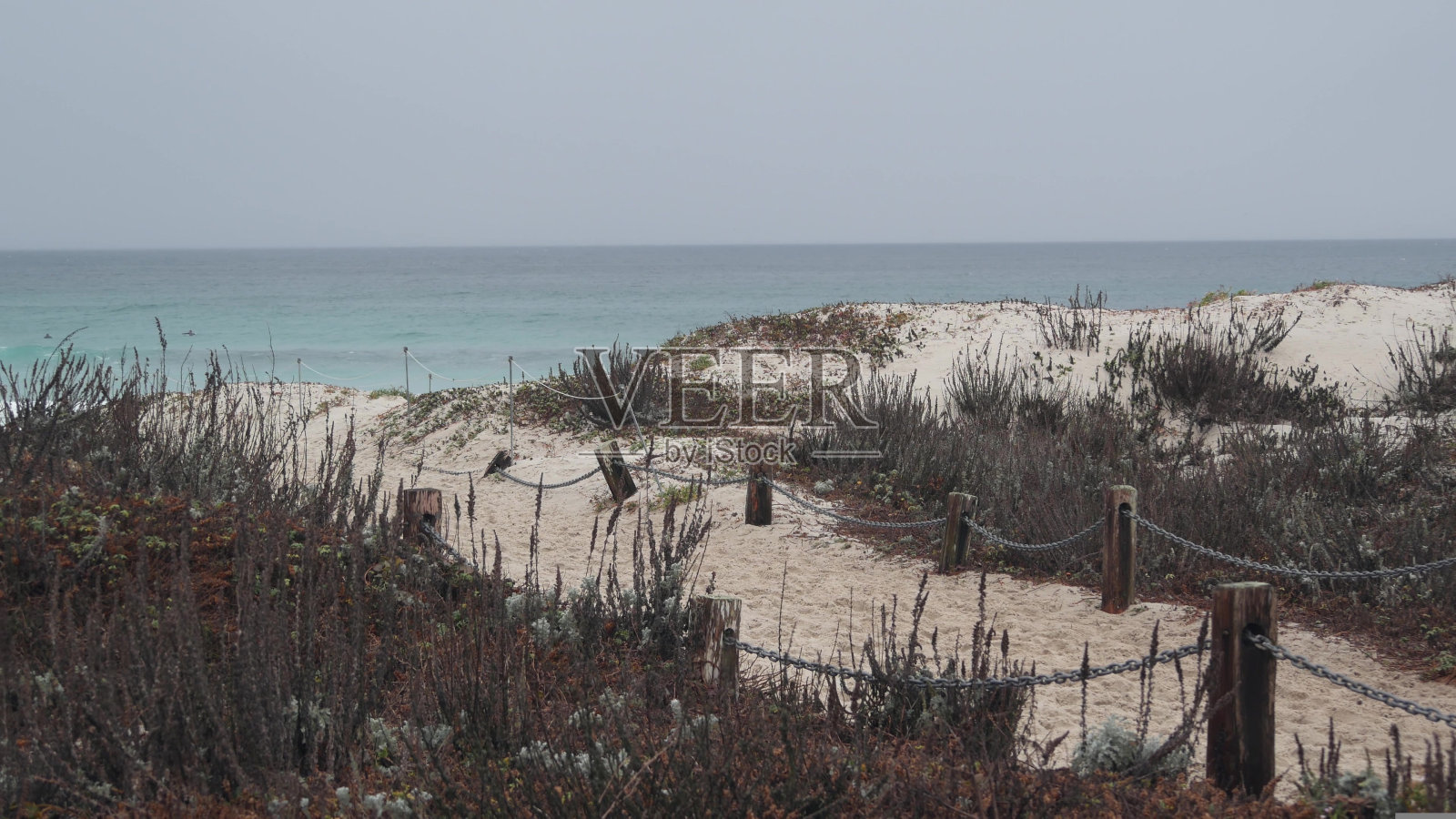 海洋海滩沙丘,加利福尼亚雾海岸。多雾多雨的天气,寒冷的大海。照片摄影图片