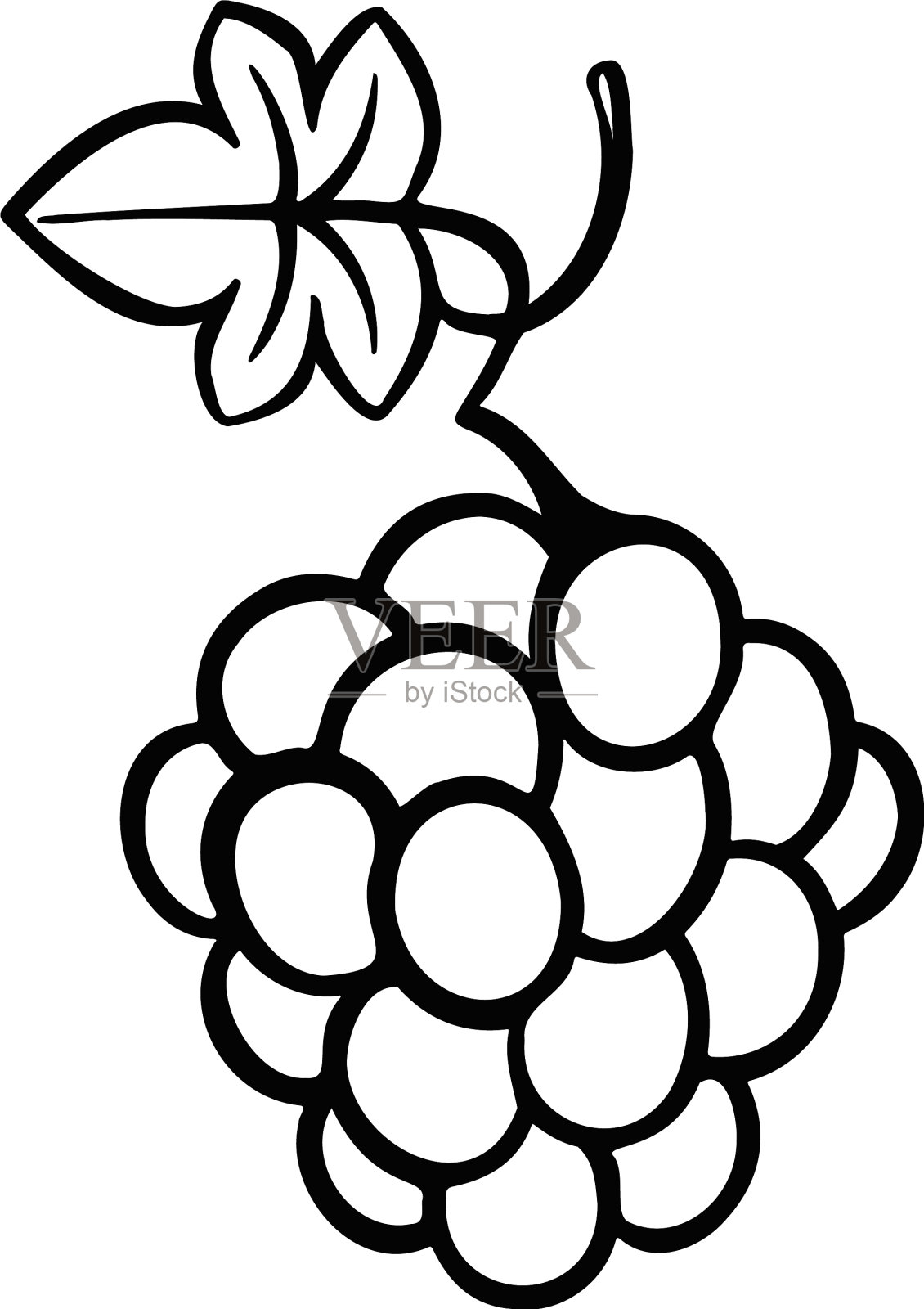 葡萄和浆果是单色的设计元素图片