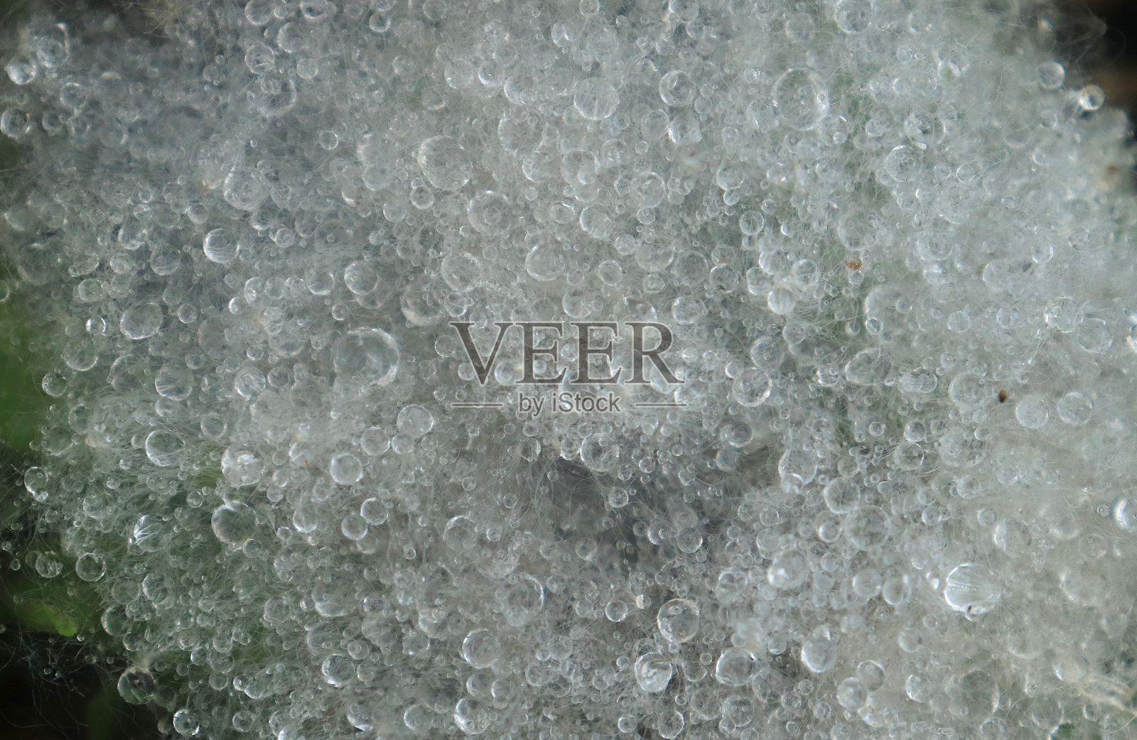 棉花质地的水滴粘在它模糊的图像照片摄影图片