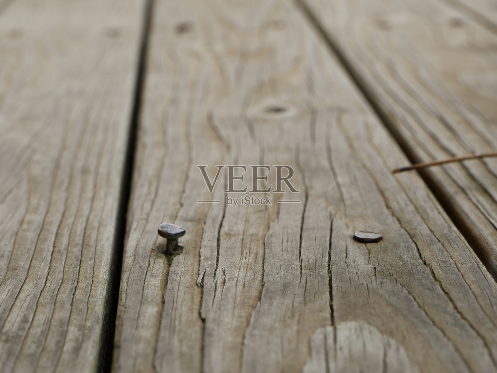 暴露的钉子照片摄影图片