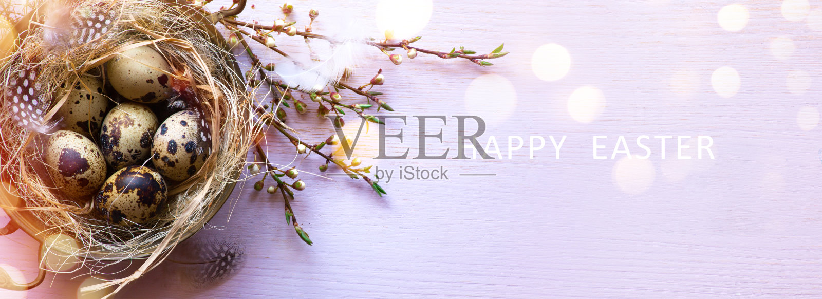 美术复活节横幅或贺卡背景;鸡蛋在装饰鸟巢和春天的花朵。照片摄影图片