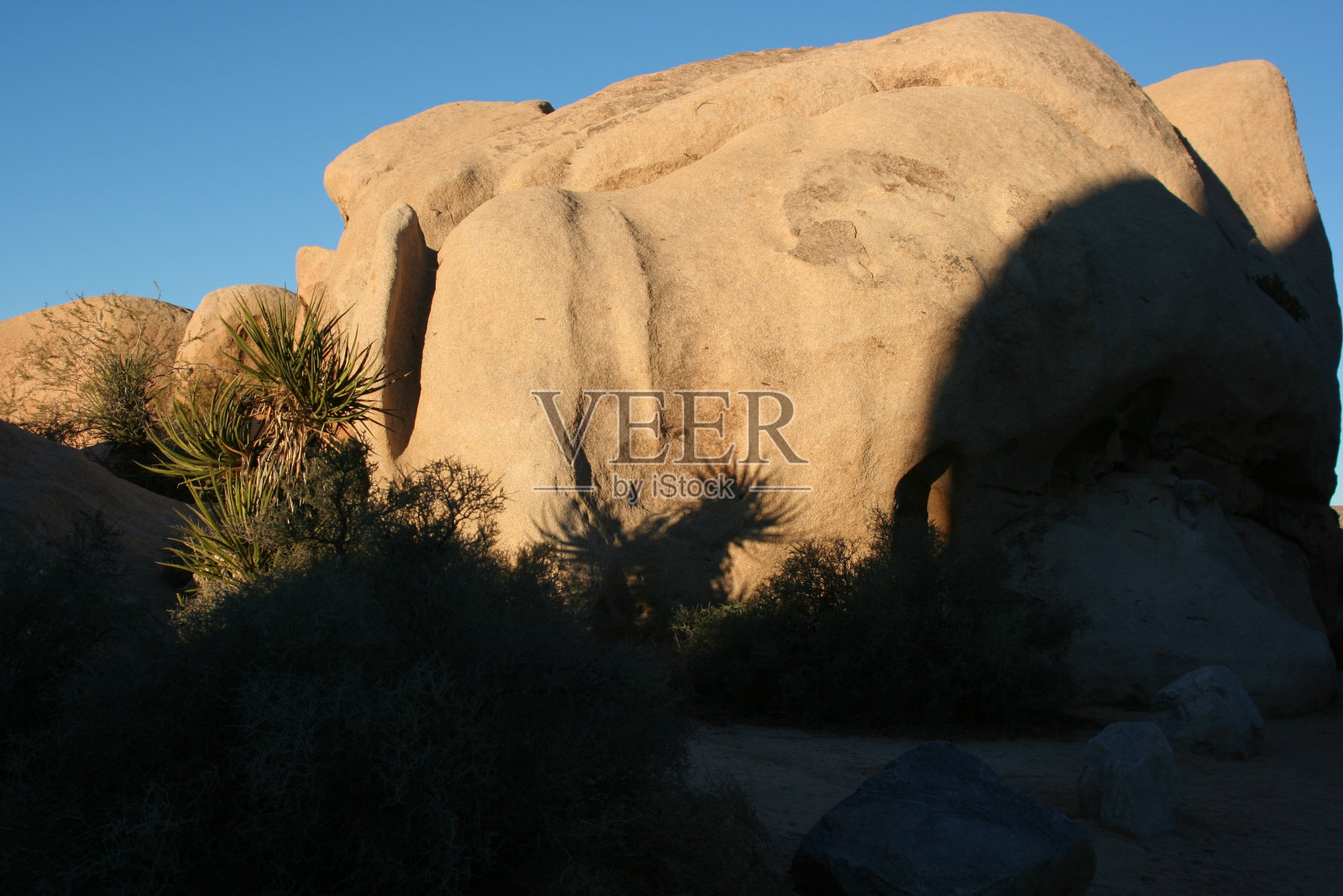 加利福尼亚约书亚树国家公园照片摄影图片