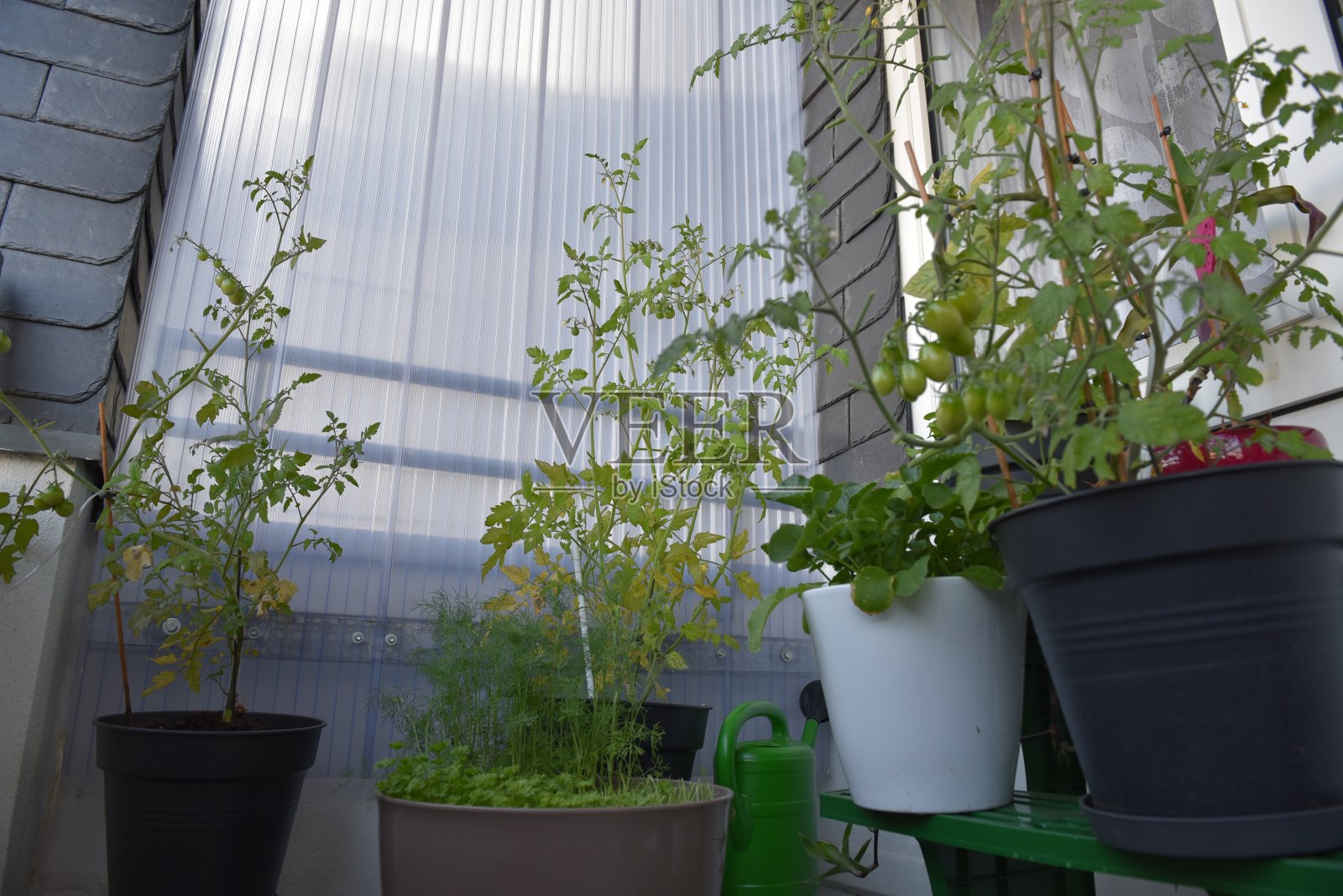 花园在家里的阳台上照片摄影图片