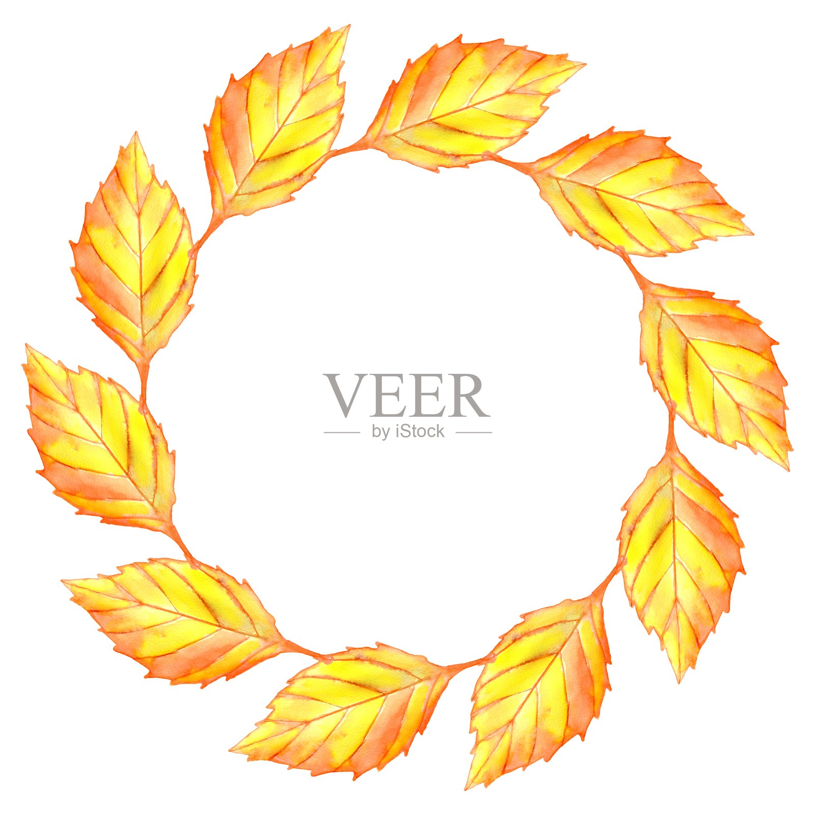 水彩秋叶花环孤立在白色背景。花卉插图。插画图片素材