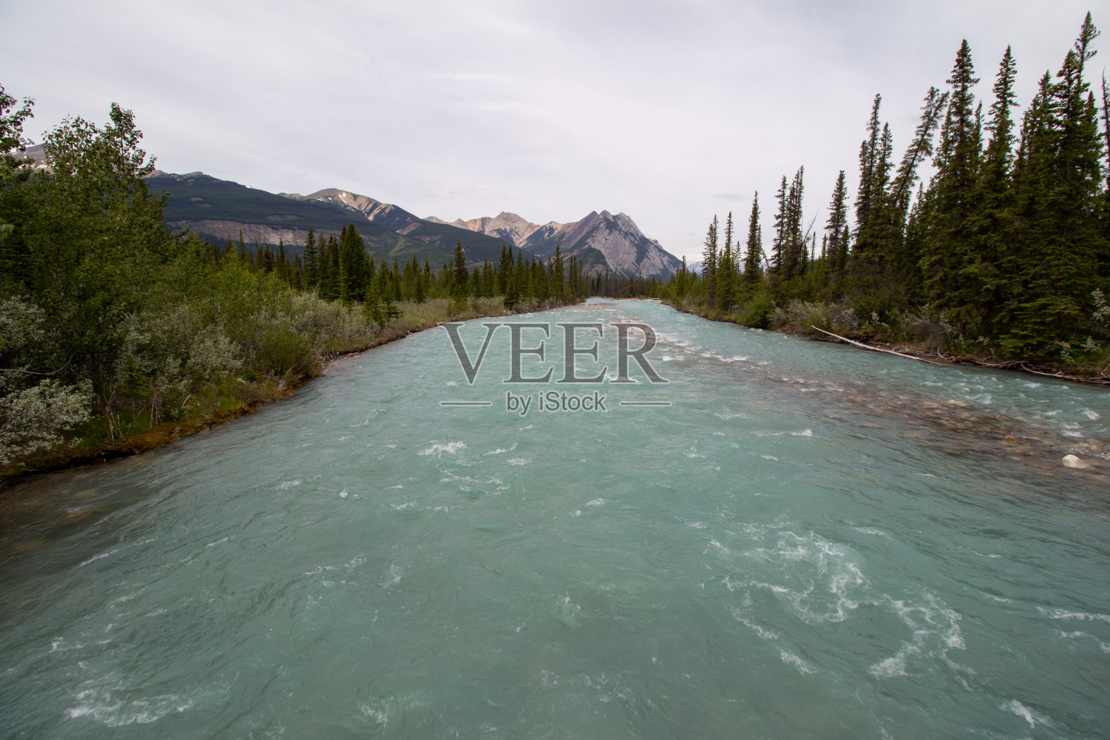 库特尼平原照片摄影图片