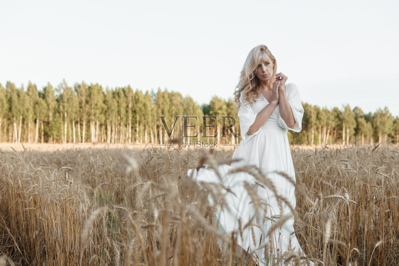 一位身穿白色长裙的金发女郎走在麦田里。婚礼的概念和在大自然中行走。照片摄影图片