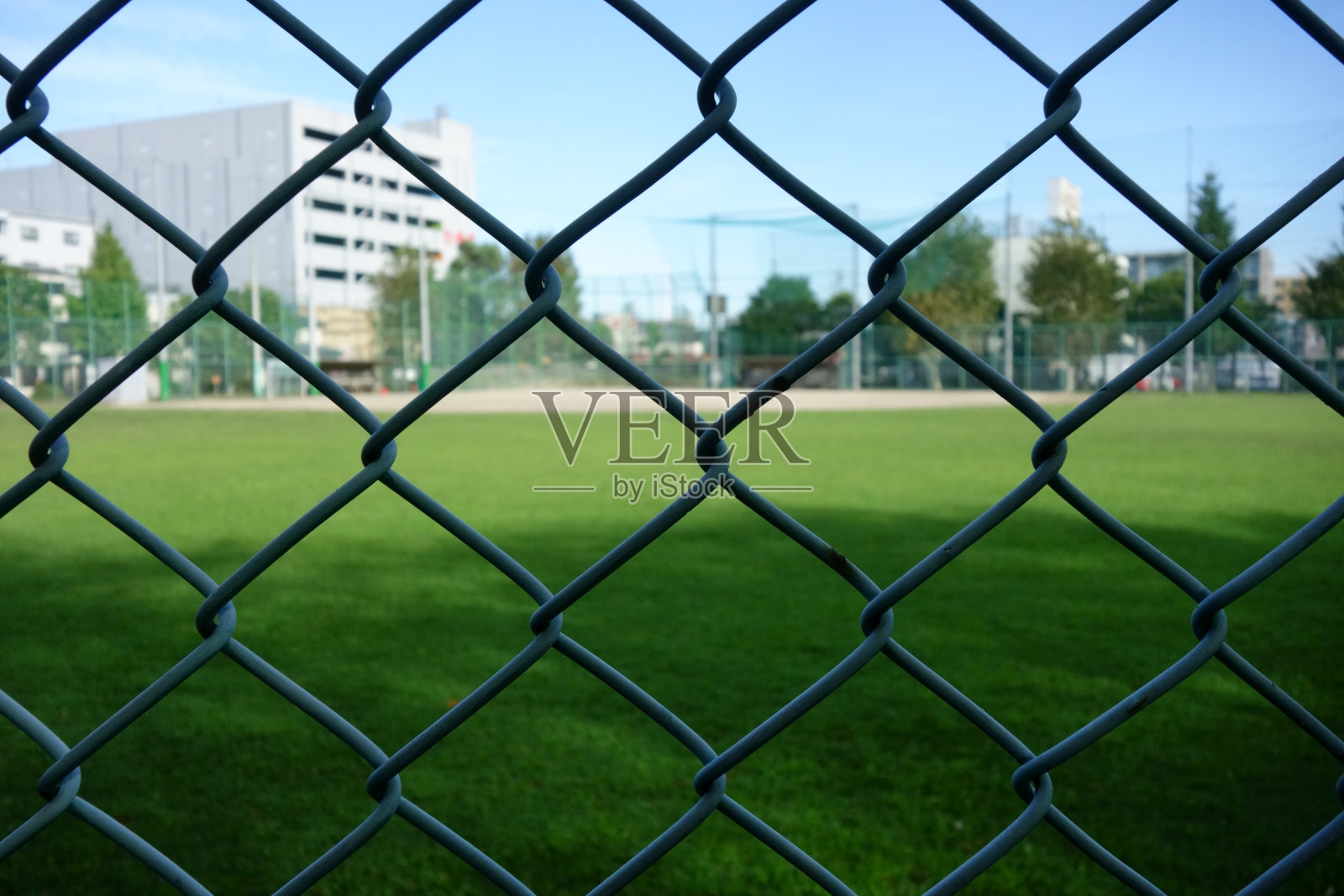 青草鲜绿,天空蓝,田野宽照片摄影图片