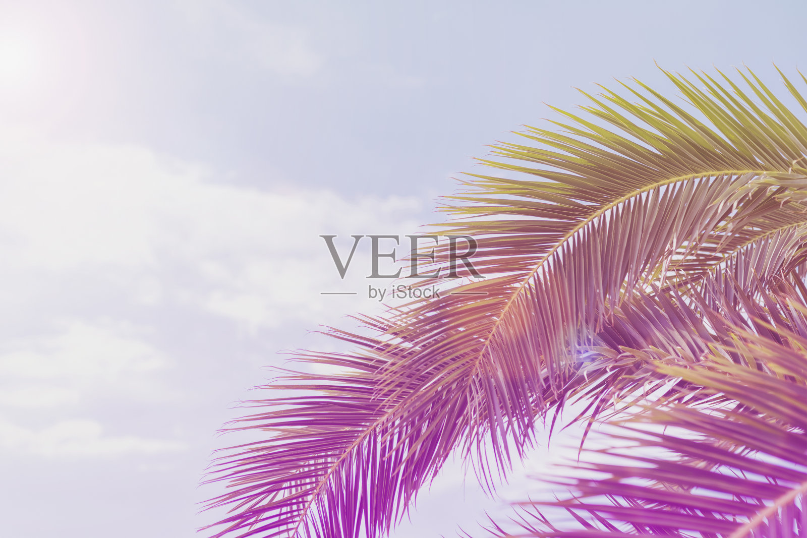 热带棕榈树在阳光下的蓝天与云,抽象的背景。暑假,旅游理念。复古色调,复制空间照片摄影图片